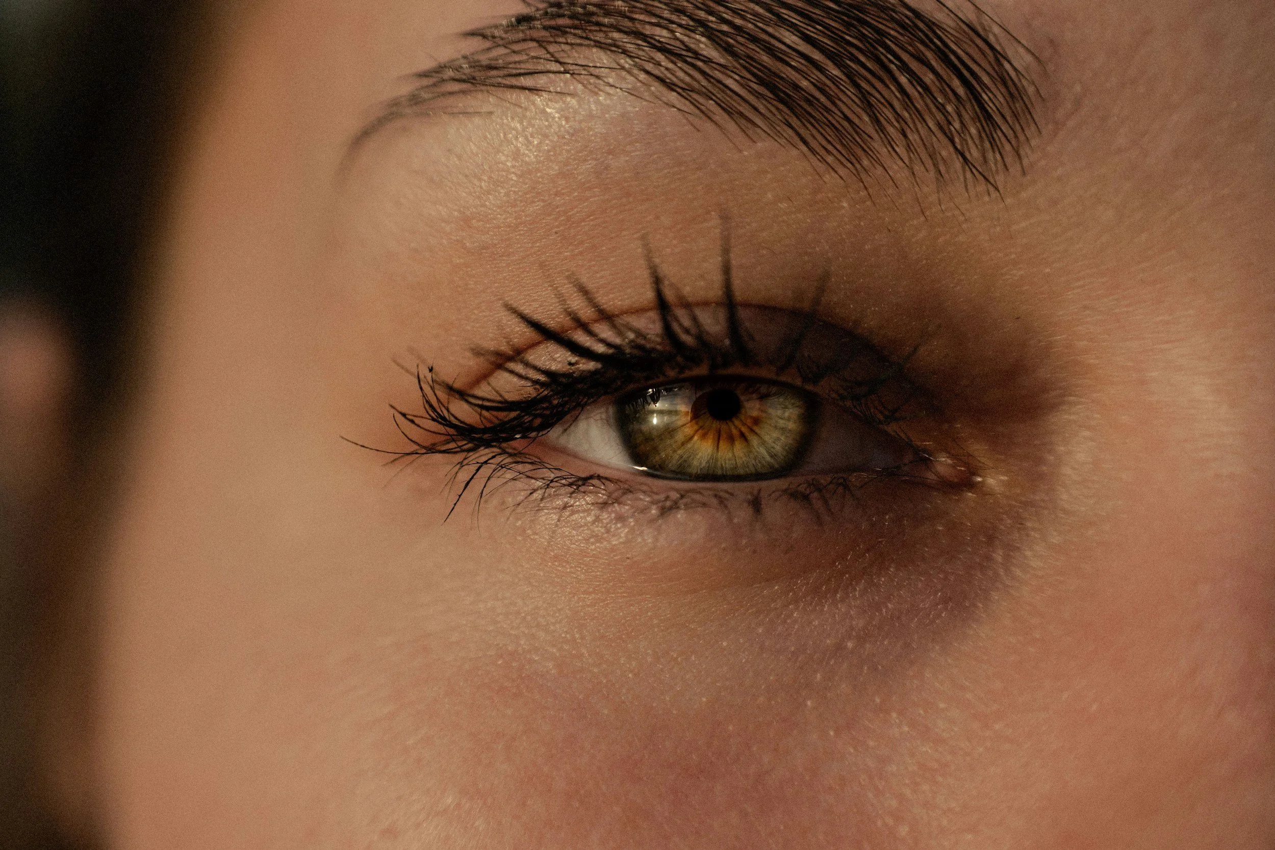 Close-up of eye with defined lashes and shaped eyebrow, showcasing natural-looking lash enhancement and brow grooming results