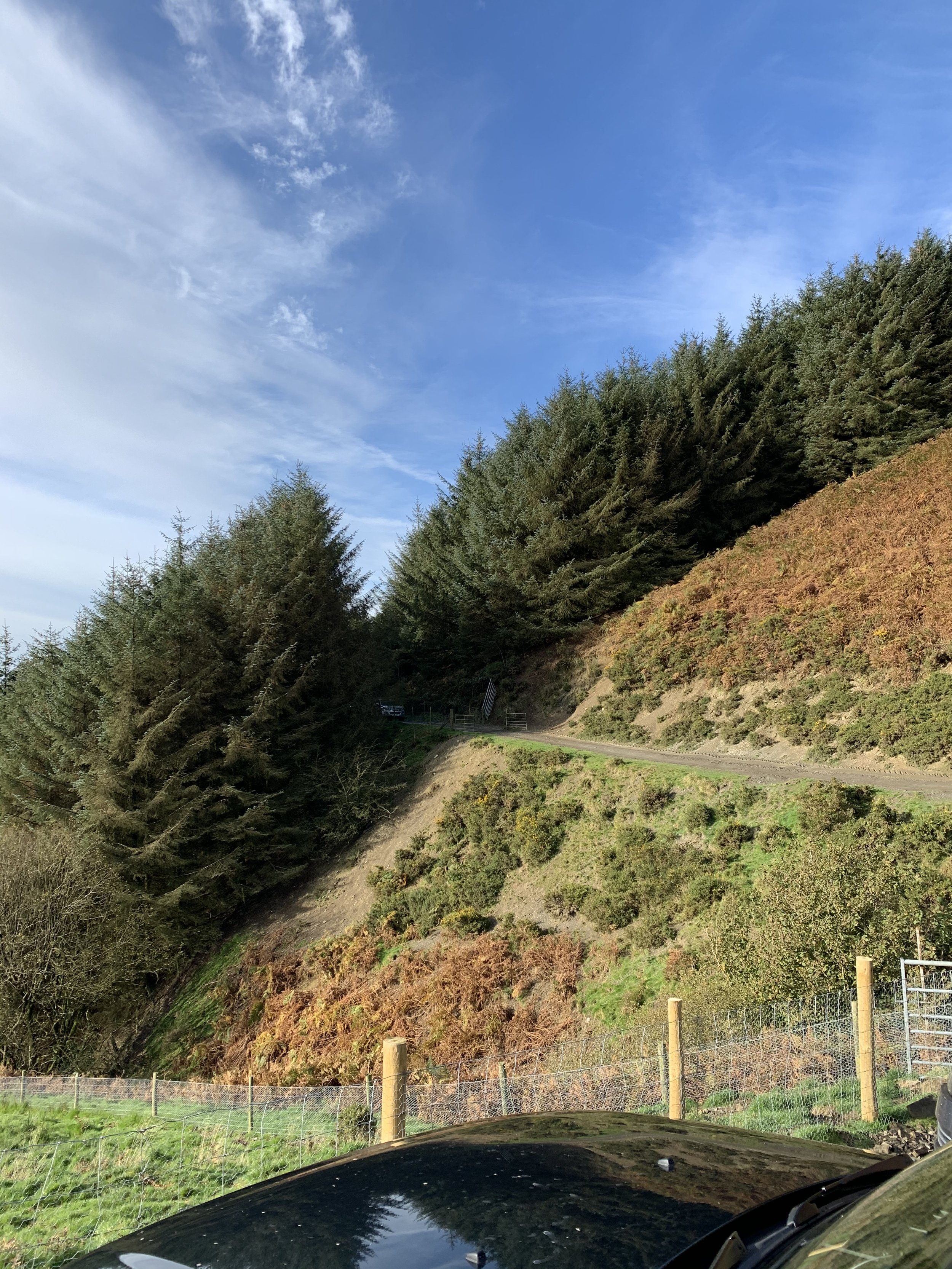 A scenic landscape with a hillside covered in trees and shrubs, a dirt road running along the hillside, and a blue sky with some clouds.