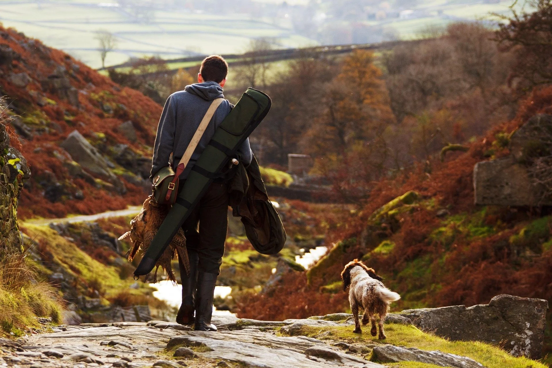 A man walking with a dog in a scenic autumn landscape with hills and leafless trees.