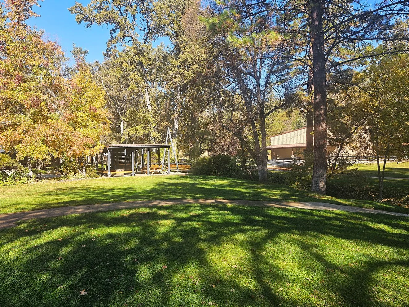 A park with lush green grass, tall trees with autumn foliage, a playground with swings, and a building in the background under a clear blue sky.
