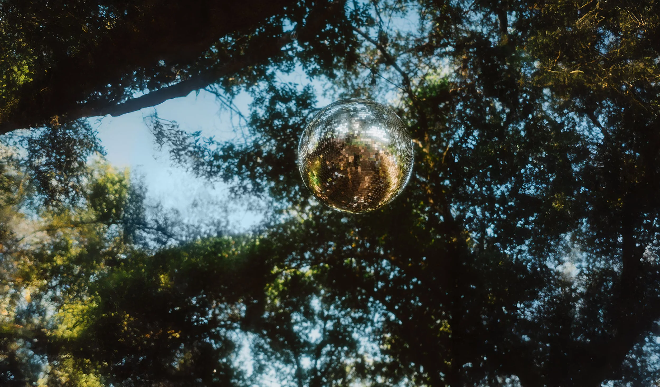 A shiny disco ball hanging from tree branches in an outdoor setting with a clear blue sky.