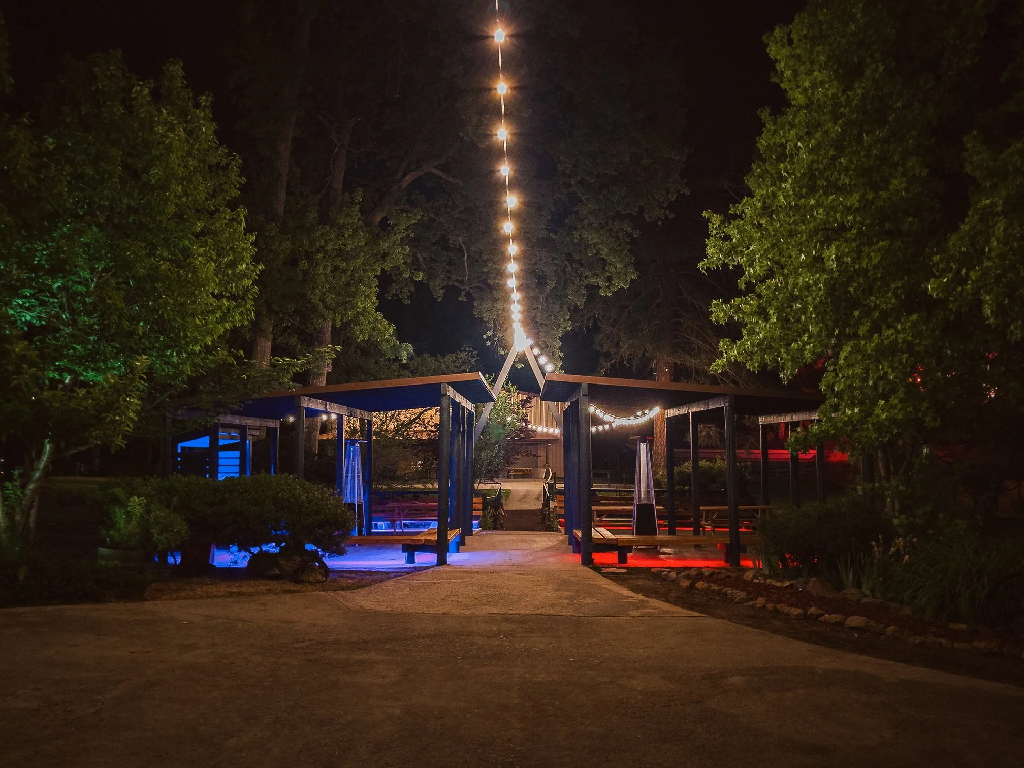 Outdoor area at night with hanging string lights, trees, and blue and red lighting accents on structures, empty benches, and pathways.