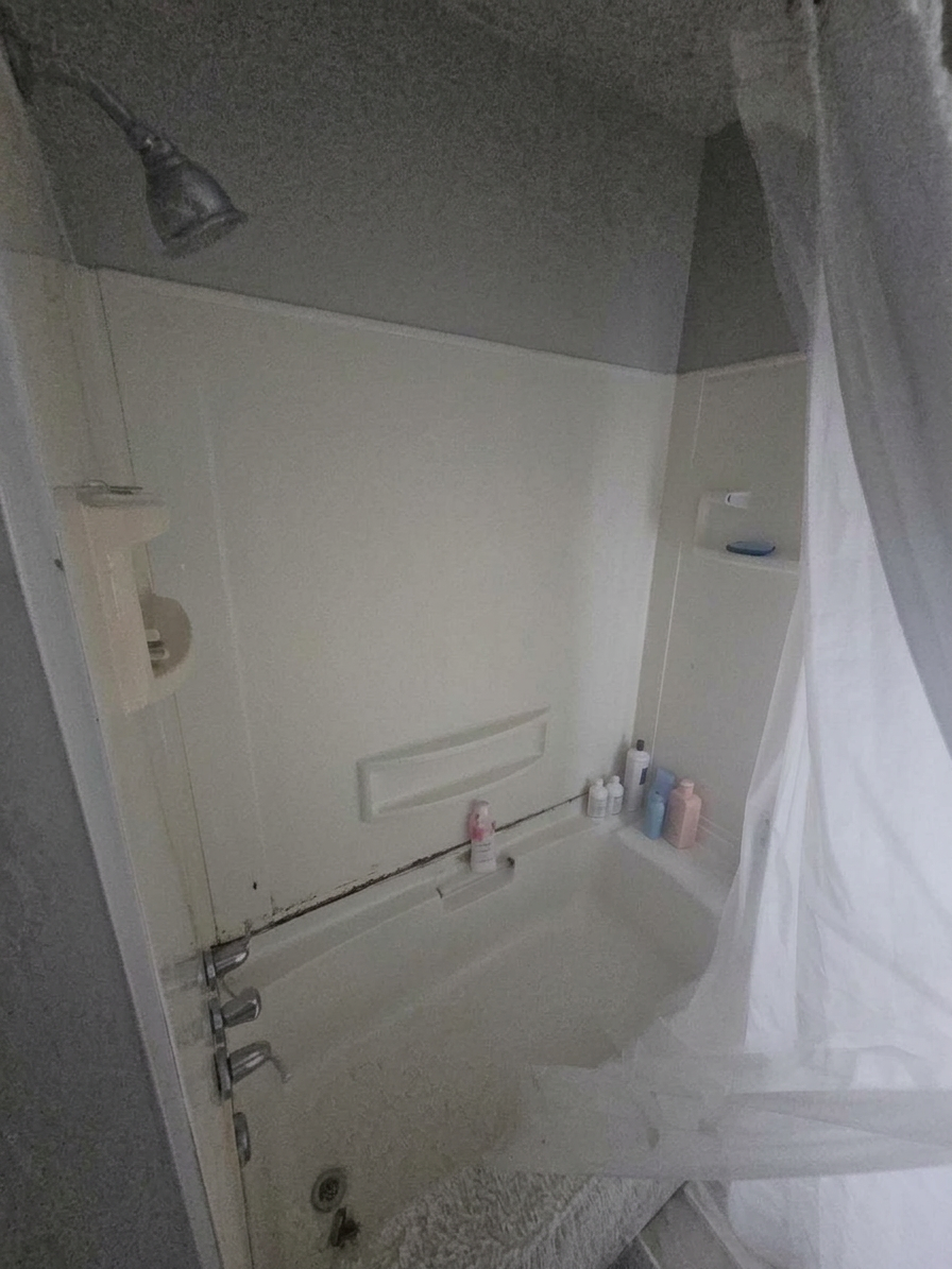 Empty shower stall with bottles of shampoo and soap on the ledge, shower curtain partially open, and a small shelf on the wall.