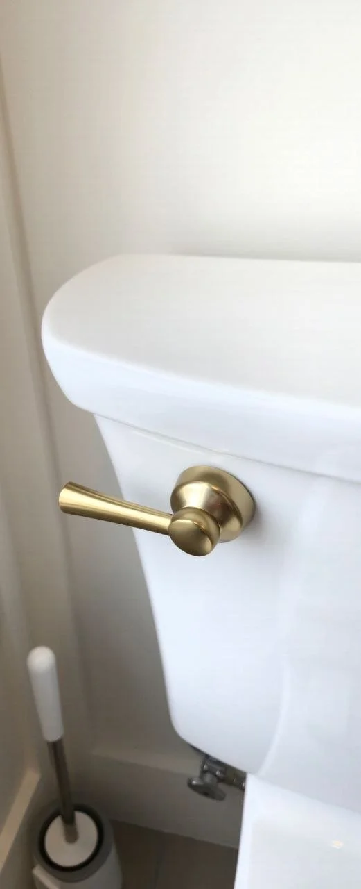 White toilet with gold flush handle and white toilet brush in the bathroom.