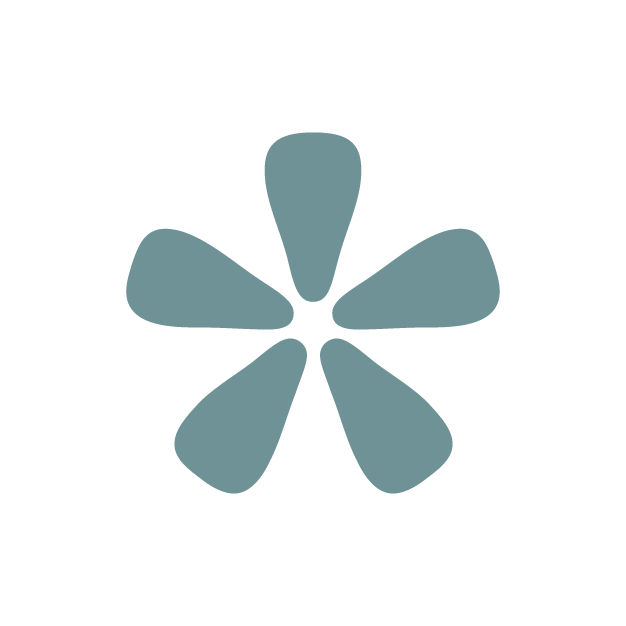 The Type & Thread submark – a teal blue asterisk shape on a transparent background