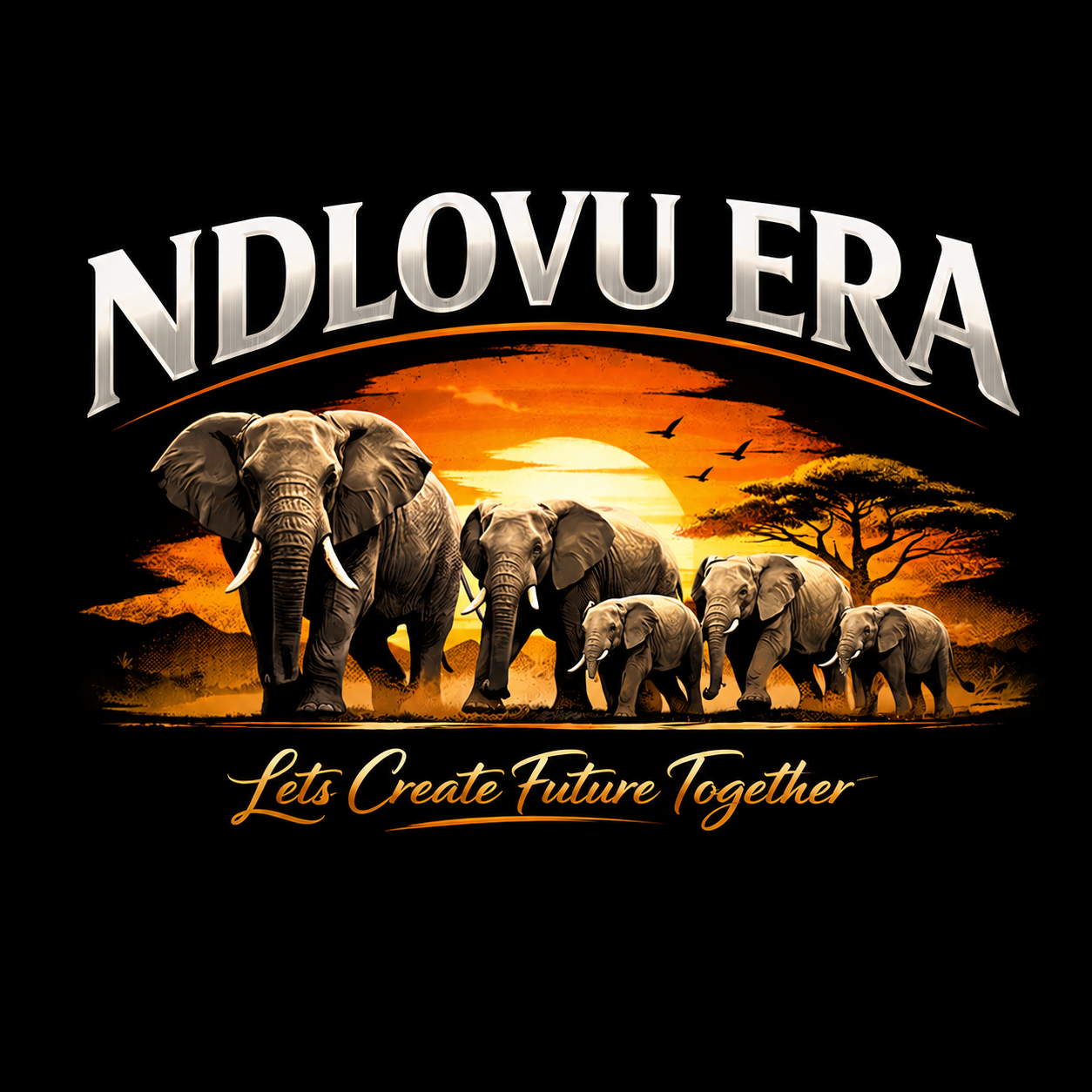 NDLOVU ERA 