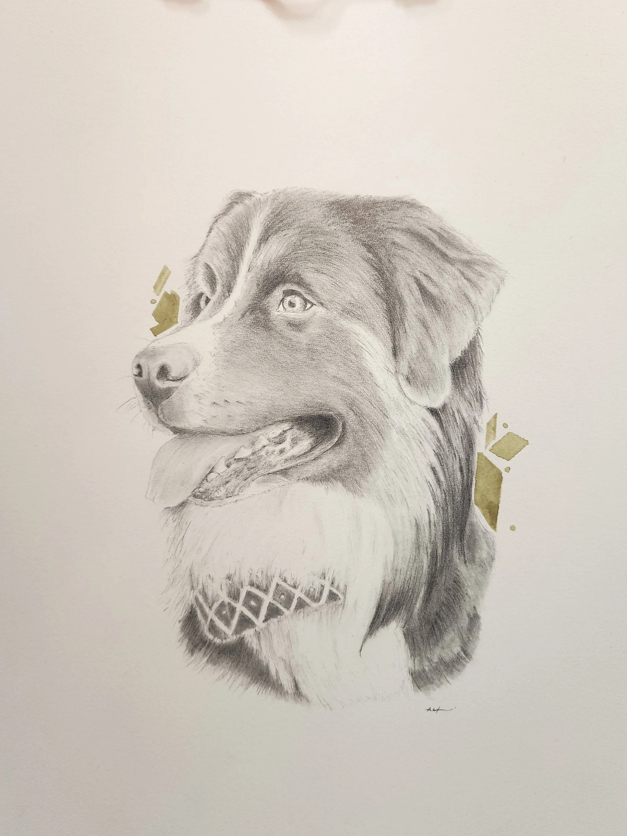 A detailed pencil drawing of a dog's face, with shading emphasizing the fur and facial features. The dog is wearing an ice cream cone as a collar, and there are gold-colored geometric shapes around the drawing.