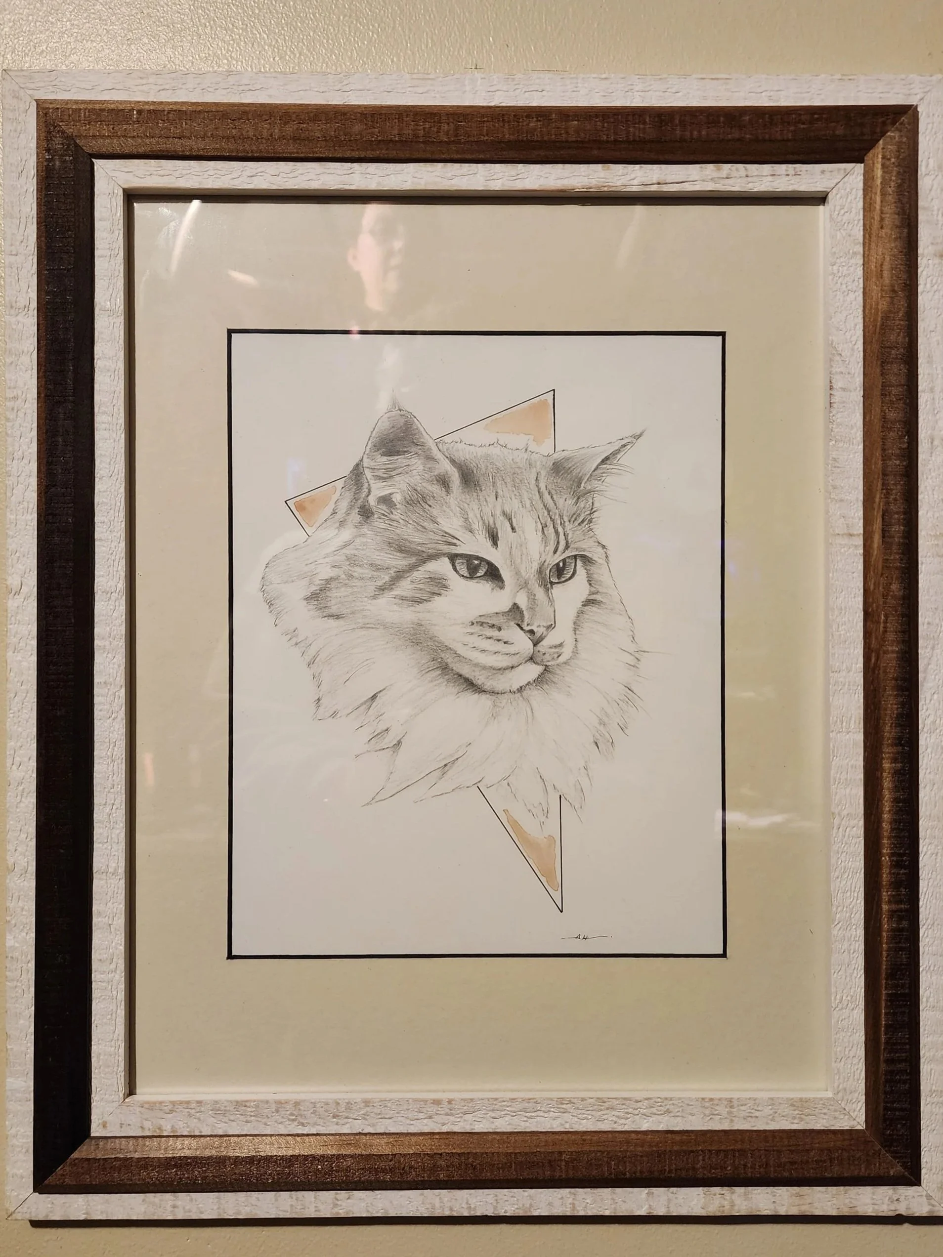 A framed art piece featuring a pencil sketch of a cat with a geometric background and some colored elements