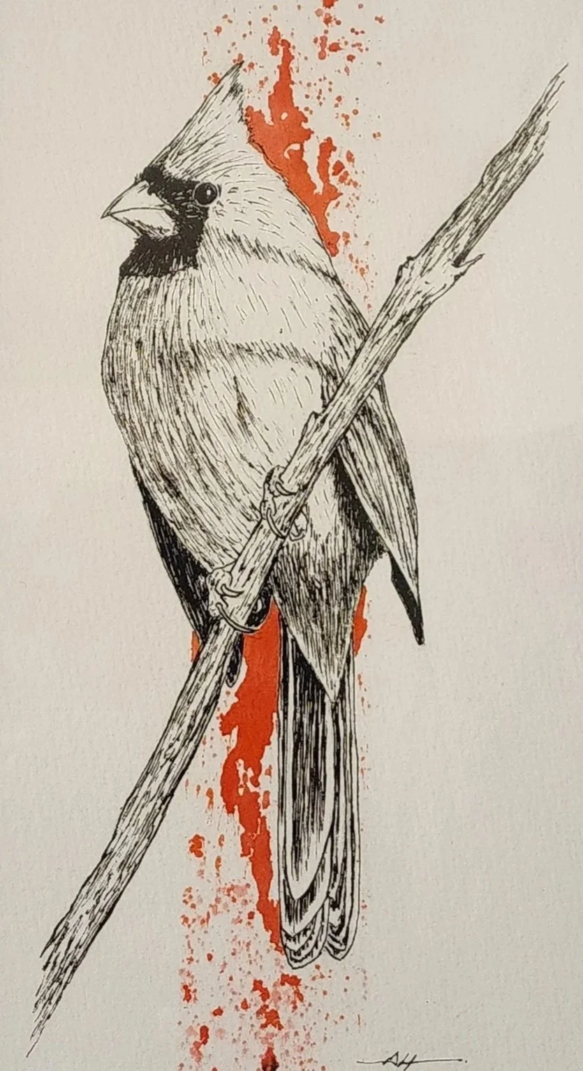 A black and white drawing of a Northern Cardinal perched on a branch with red splatter in the background.