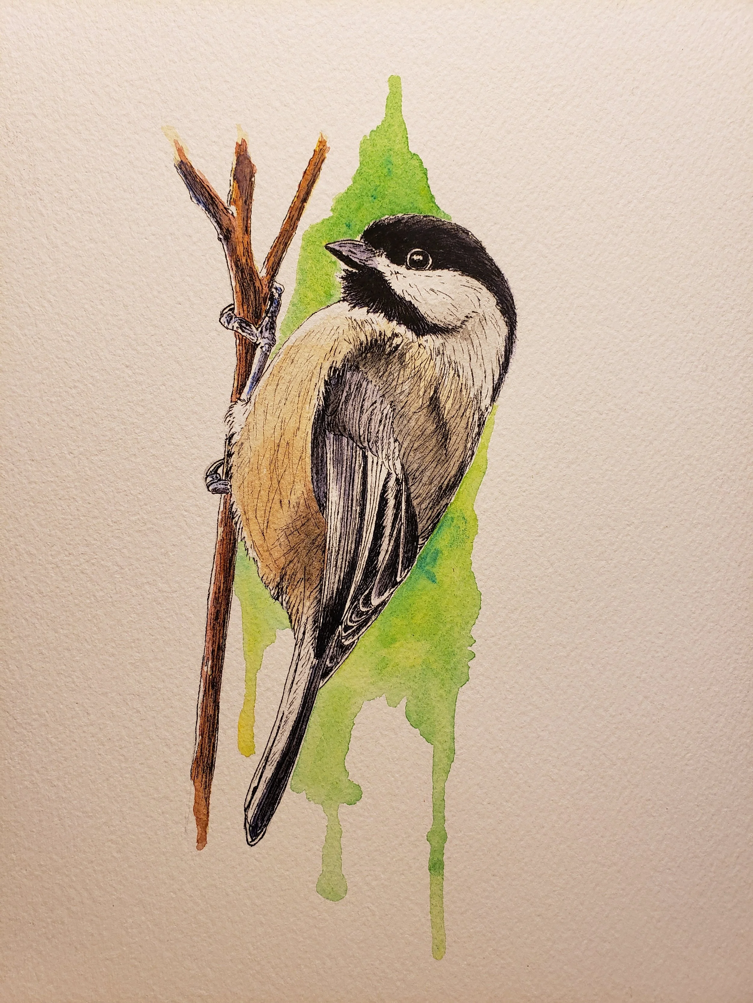Watercolor painting of a bird perched on a branch with a green background.