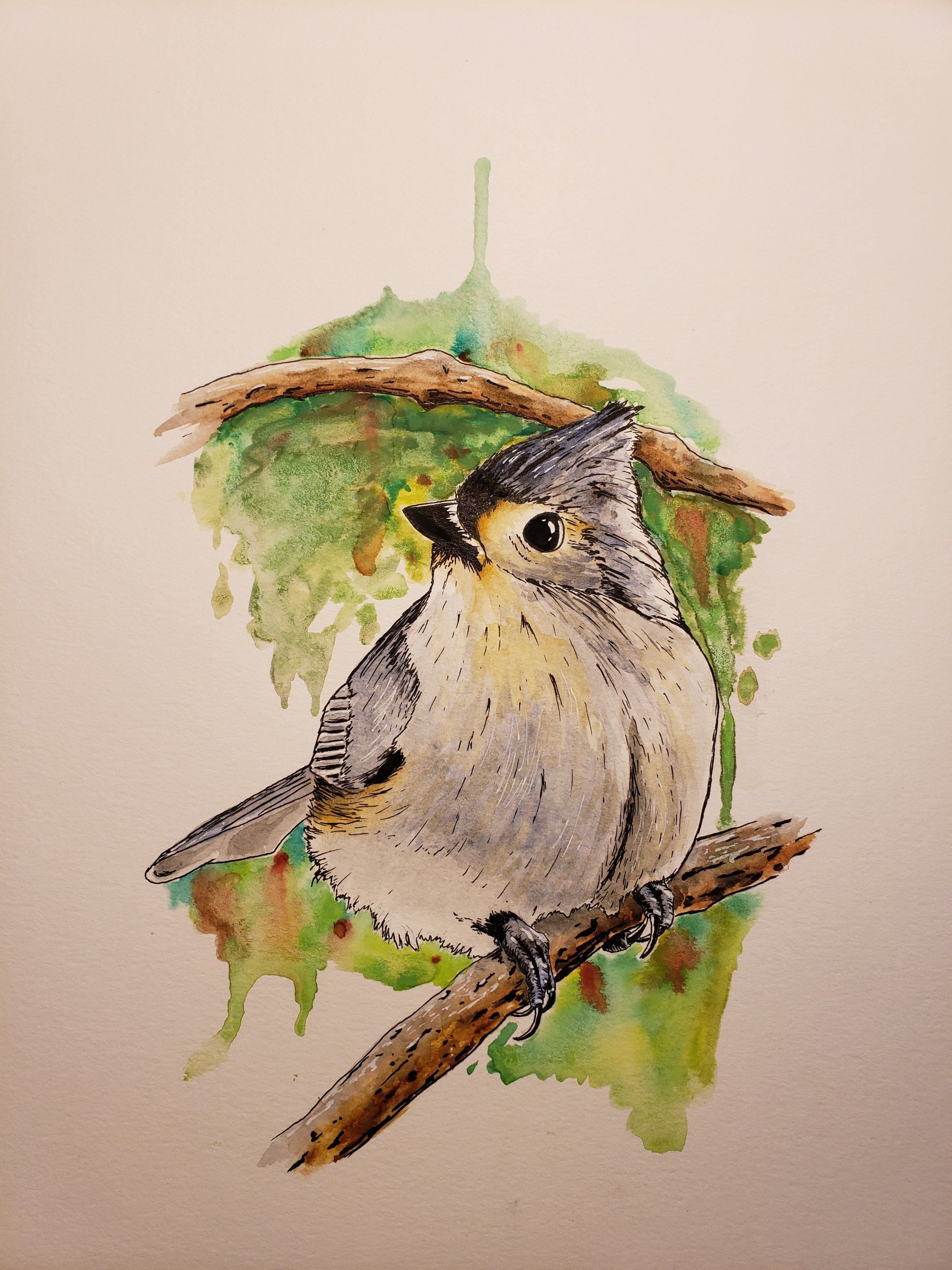 Watercolor painting of a small bird with gray and yellow feathers perched on a branch, with green and brown watercolor background.
