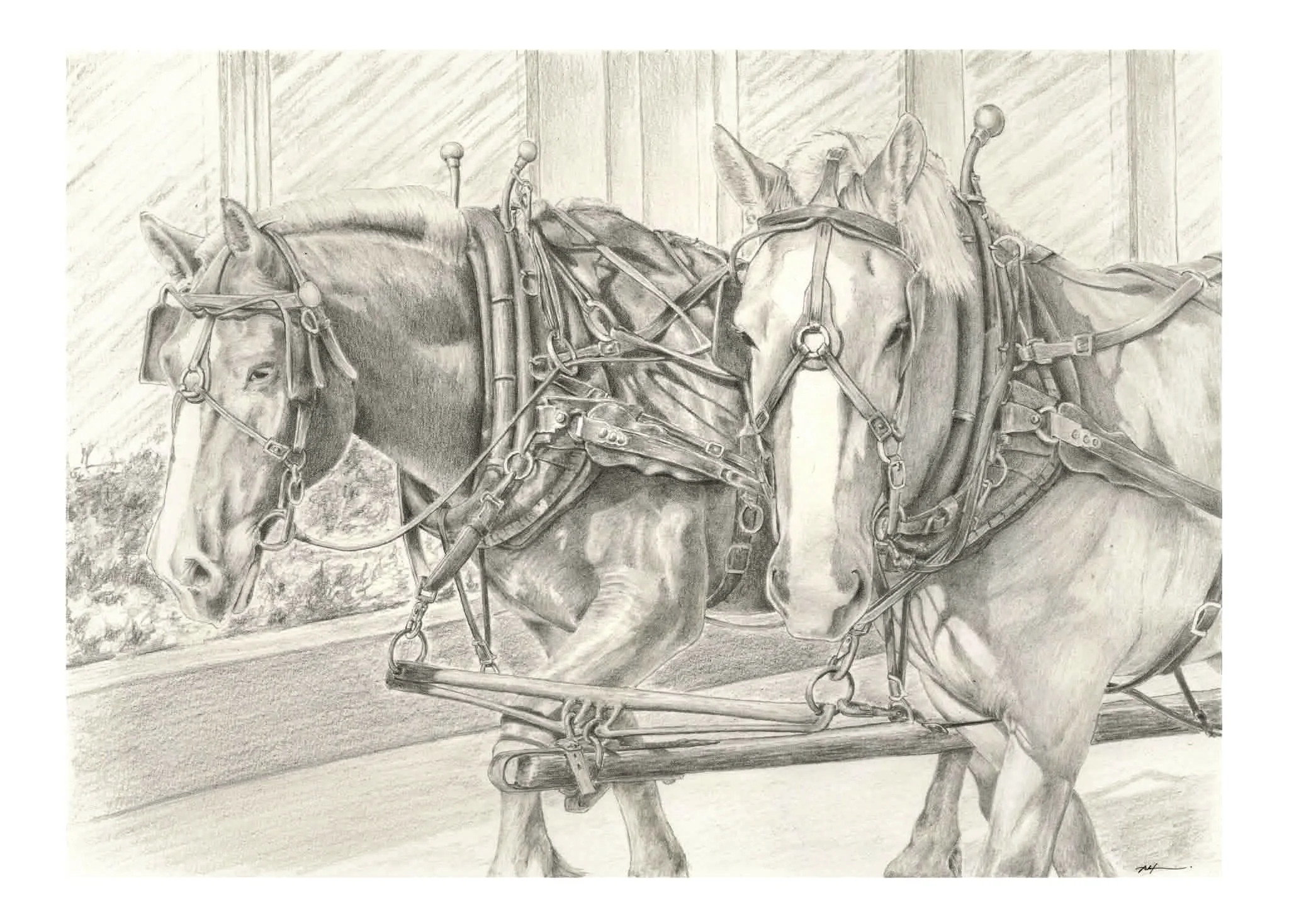 The Horses of Mackinac Island