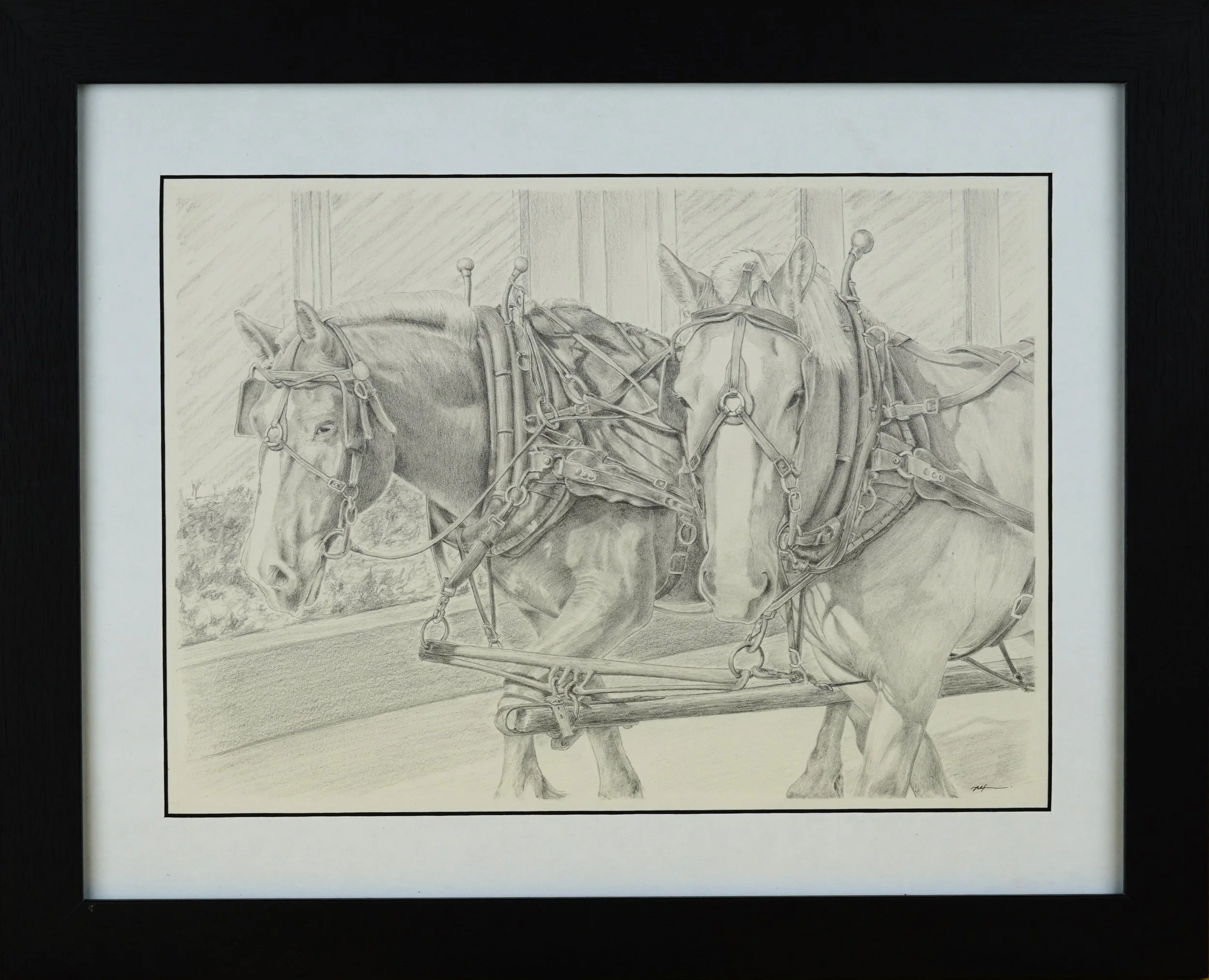 The Horses of Mackinac Island