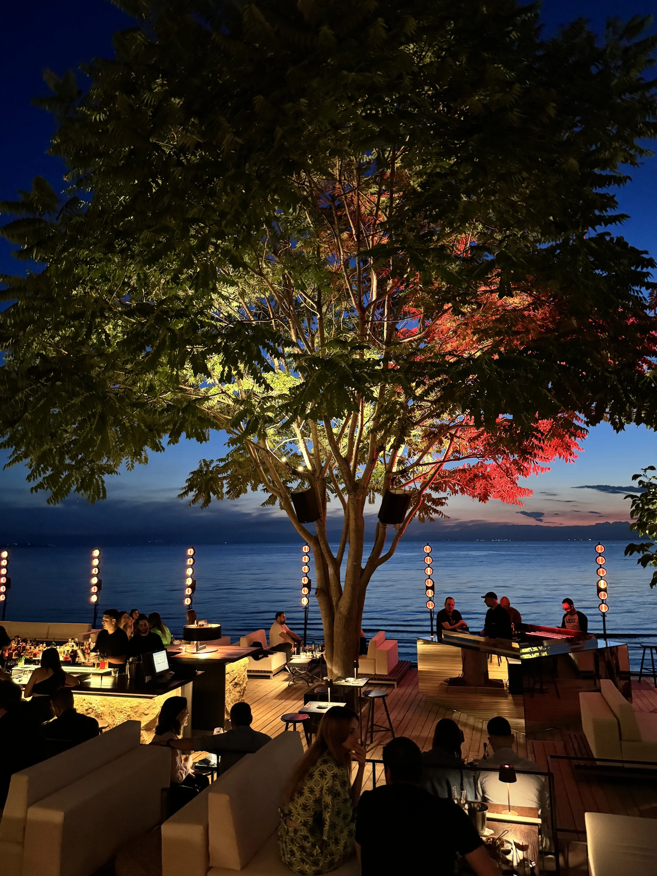 Night scene at a seaside restaurant with a large tree at the center, illuminated with colored lights. Diners are seated at tables, and the ambiance features soft lighting, water in the background, and a clear evening sky.
