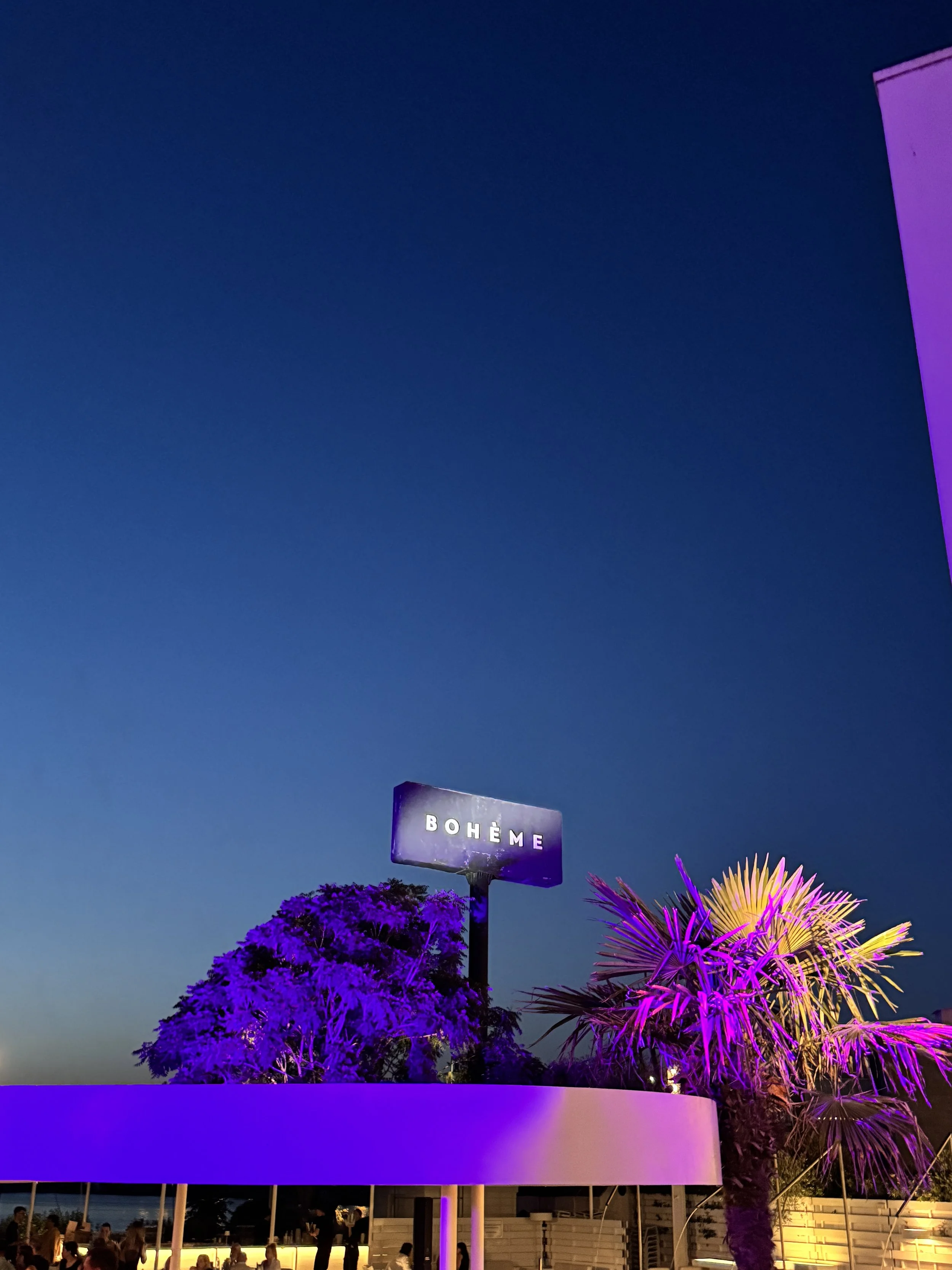 Night view of a place called Bohème with purple and yellow lighting on plants and a sign.