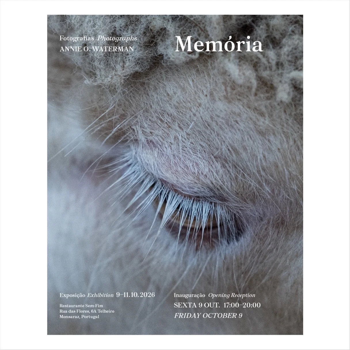 Hi everyone, for those who know me well, know that over the years, while in Portugal, I have been working on a long-term photo project around the culture of wool. The people, places, and rituals all interconnected through this precious material. Docu