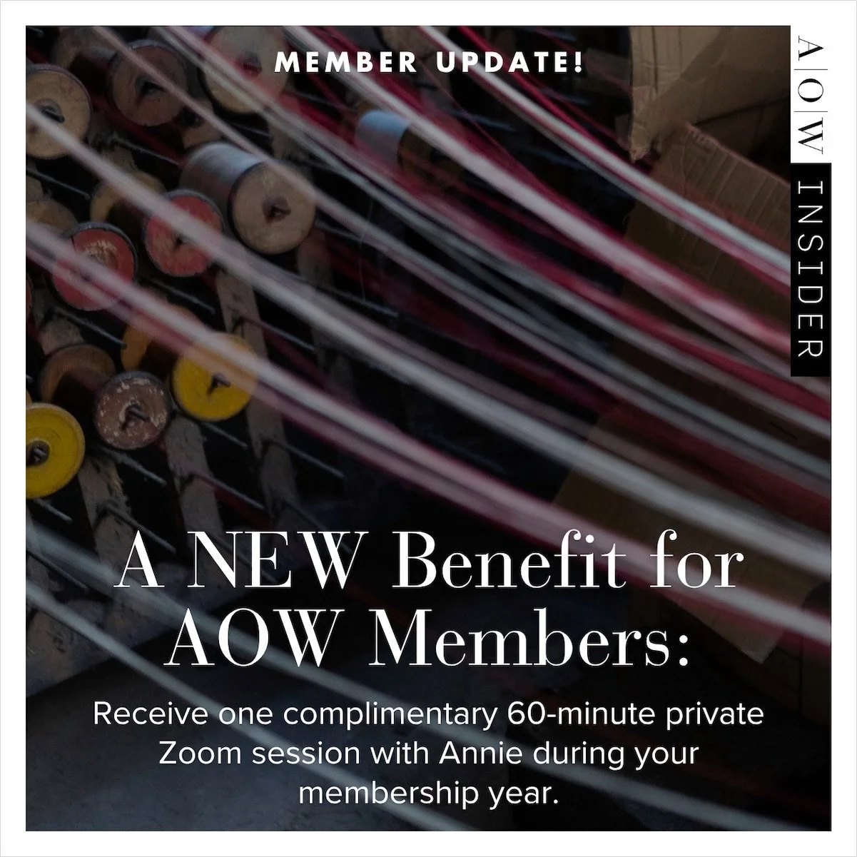 Hello lovely AOW members &mdash; and those of you who have been considering joining! 

Over the past few months, I&rsquo;ve been listening to your feedback about the membership. Many of you have told me that while you love the content, you&rsquo;d al