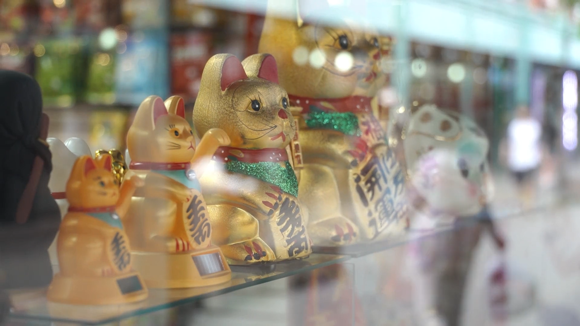 Videography Showcase