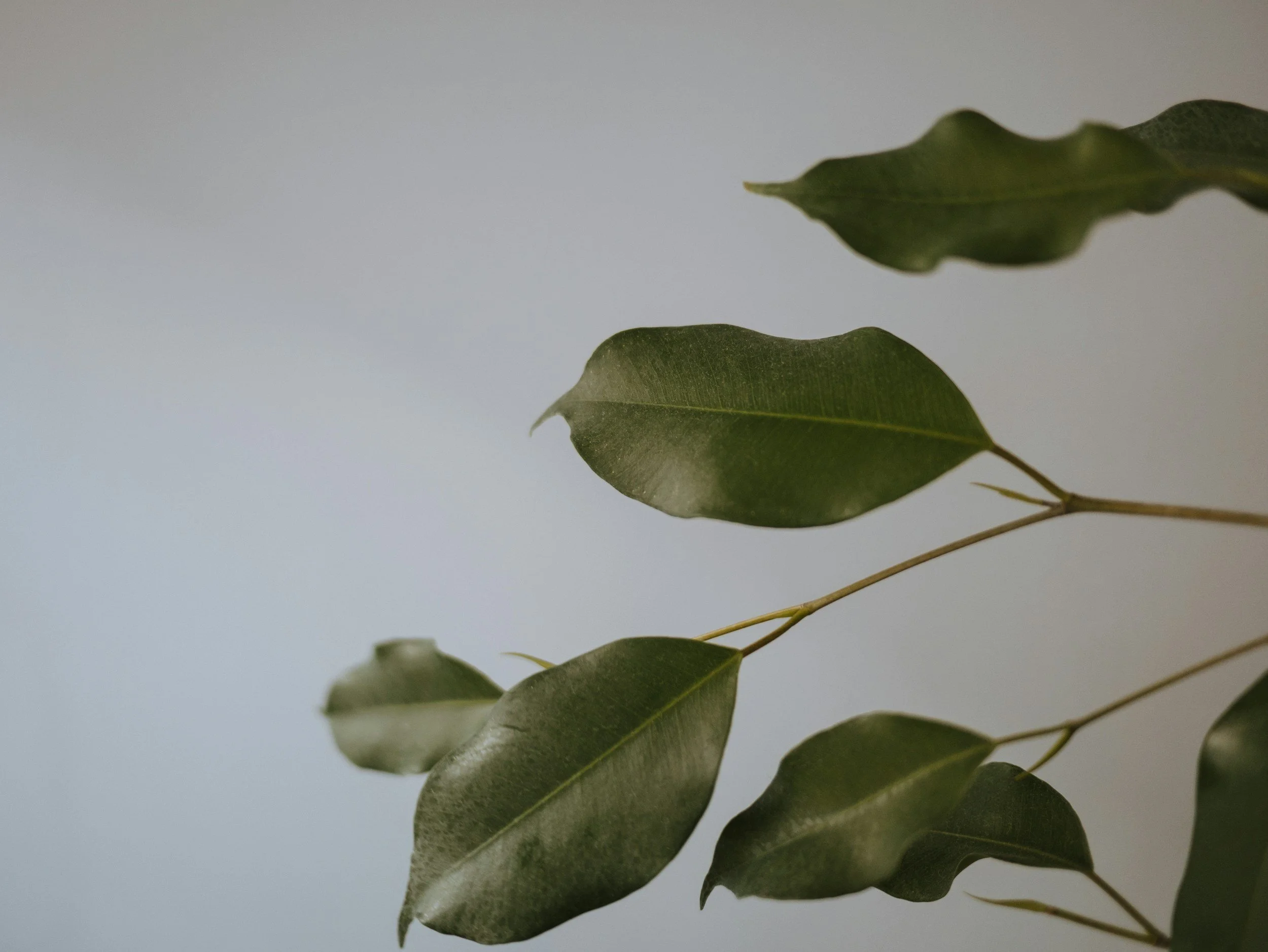 unsplash-image-YsTizNrWGxE.jpg