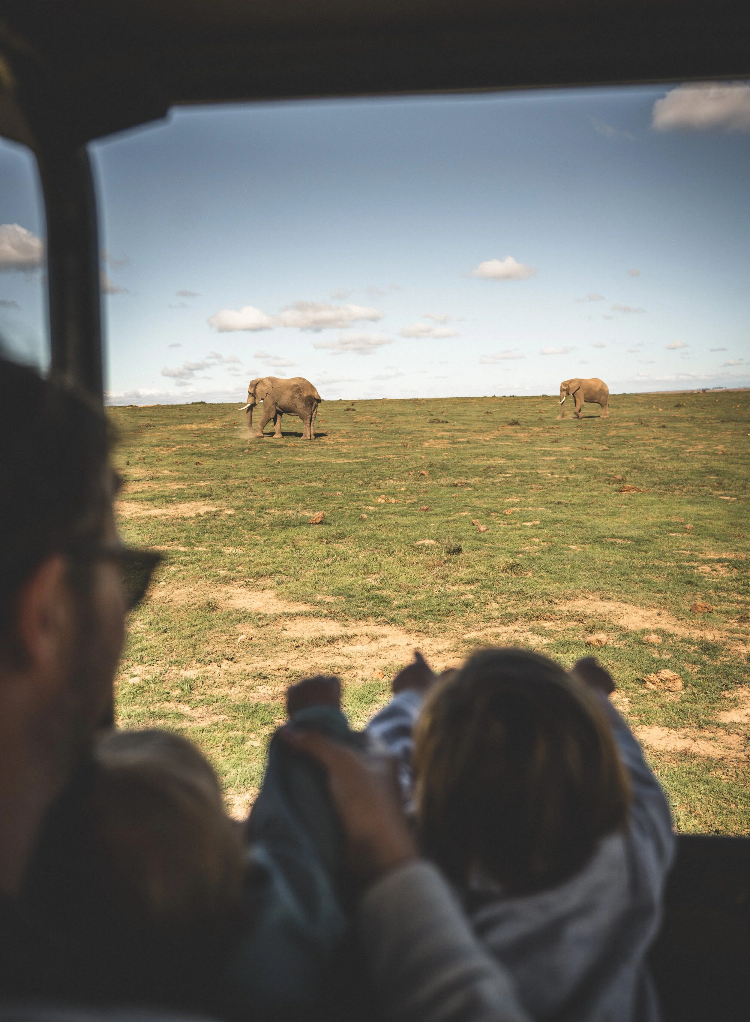 Safari rondreis in Zuid-Afrika met familie langs wilde dieren