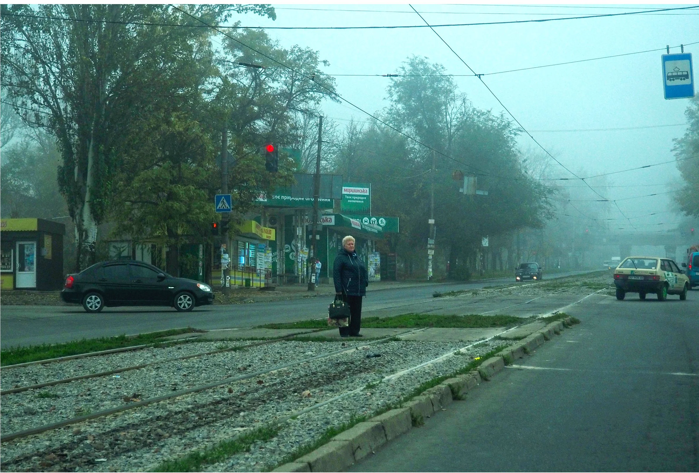 Zaporizhzhia Lady on a street