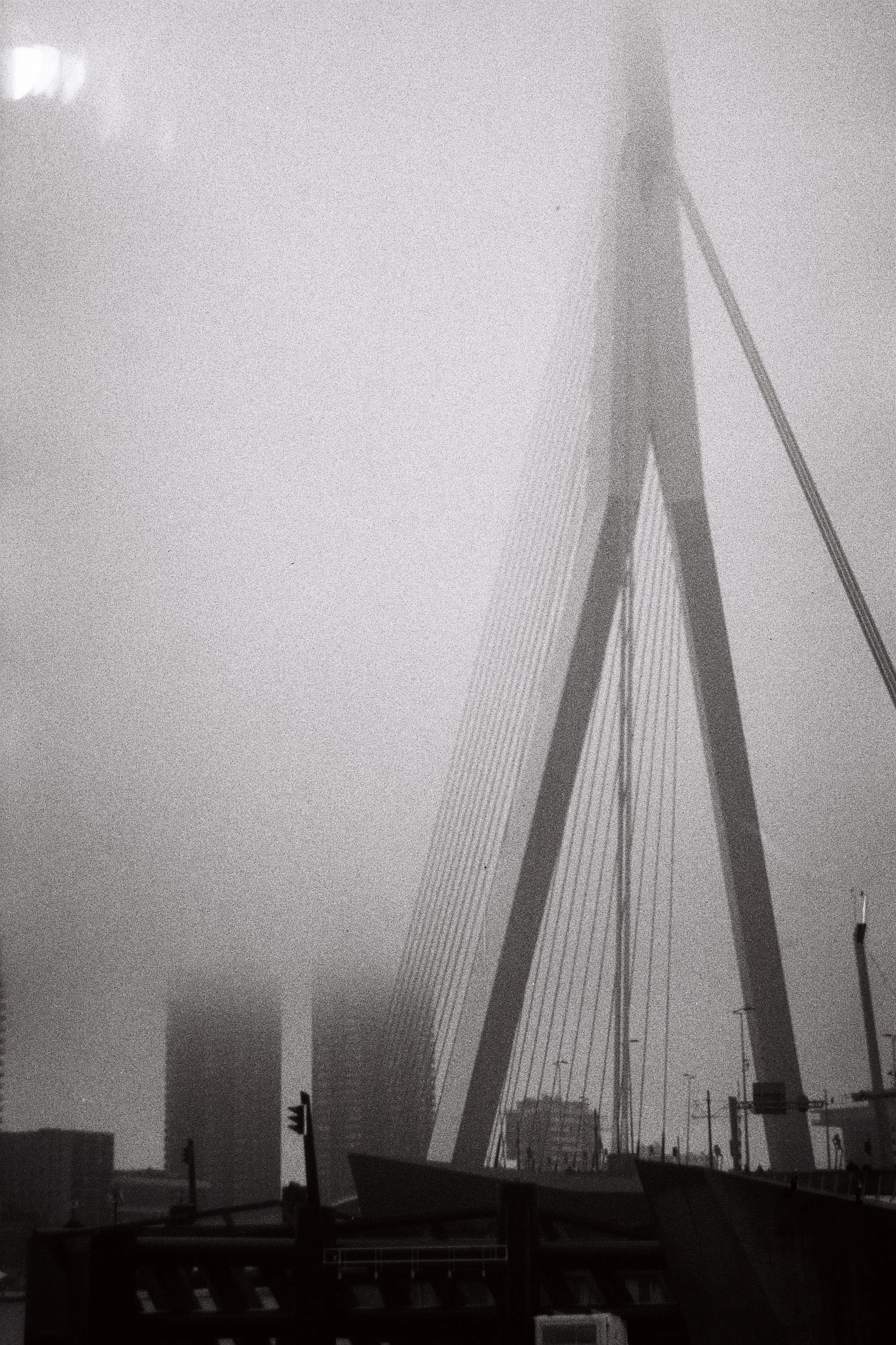 Erasmus bridge. Experimental. Raw black and white