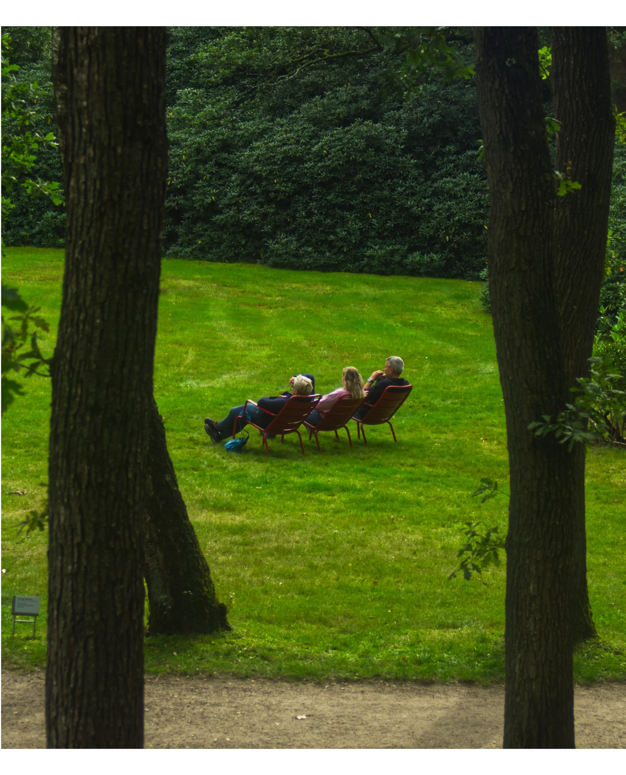 Three elderly people sitting on chairs in a lush green park, viewed through two tree trunks.