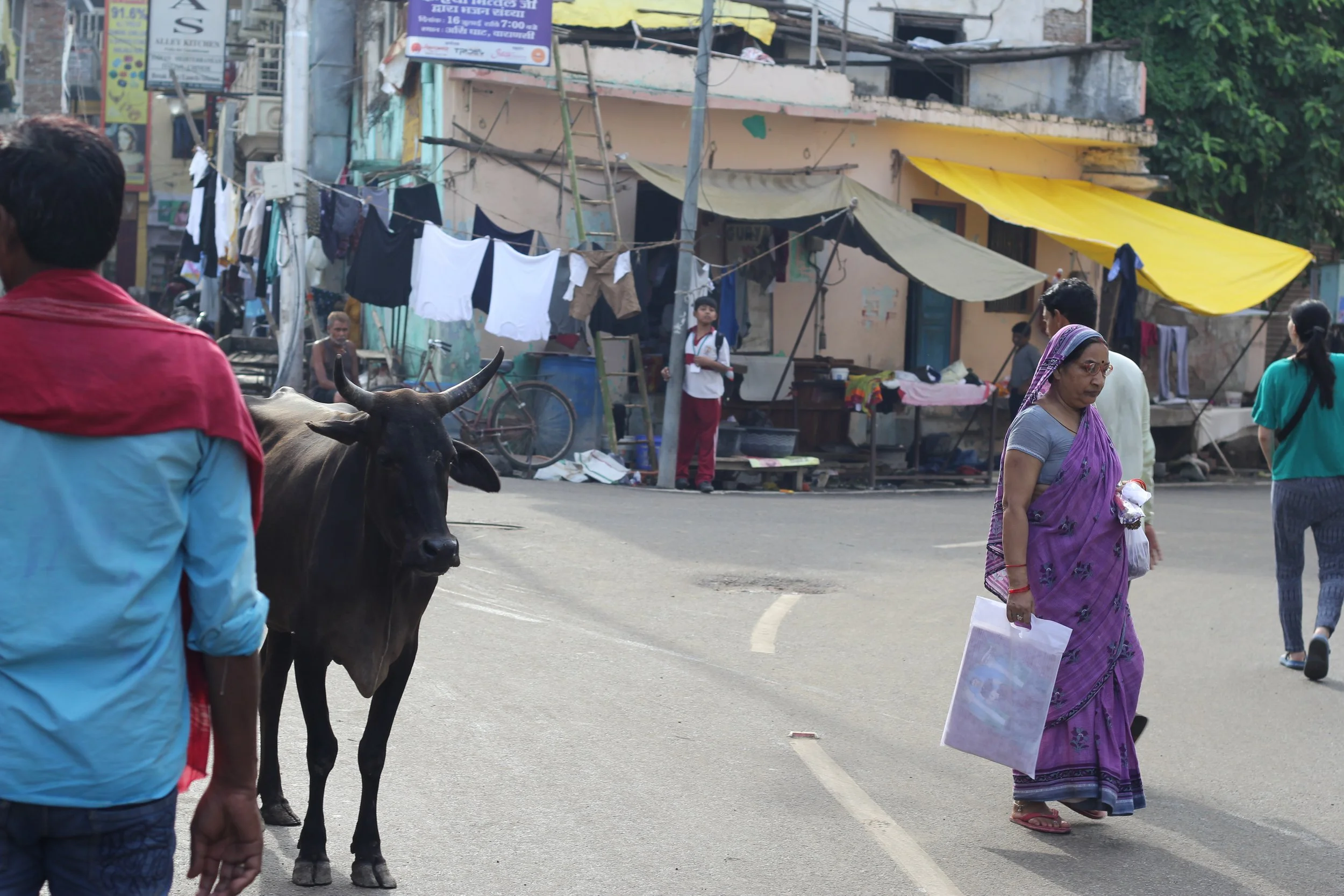 India #5 kopie.jpg