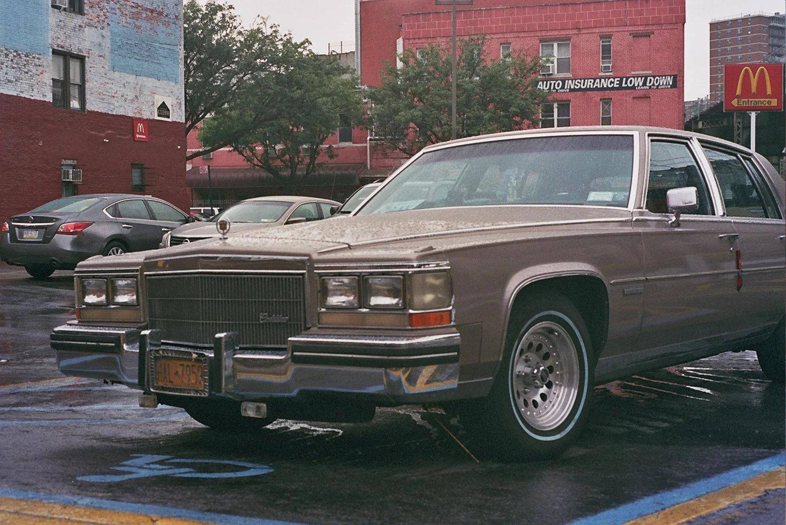 __3_0682.jpg