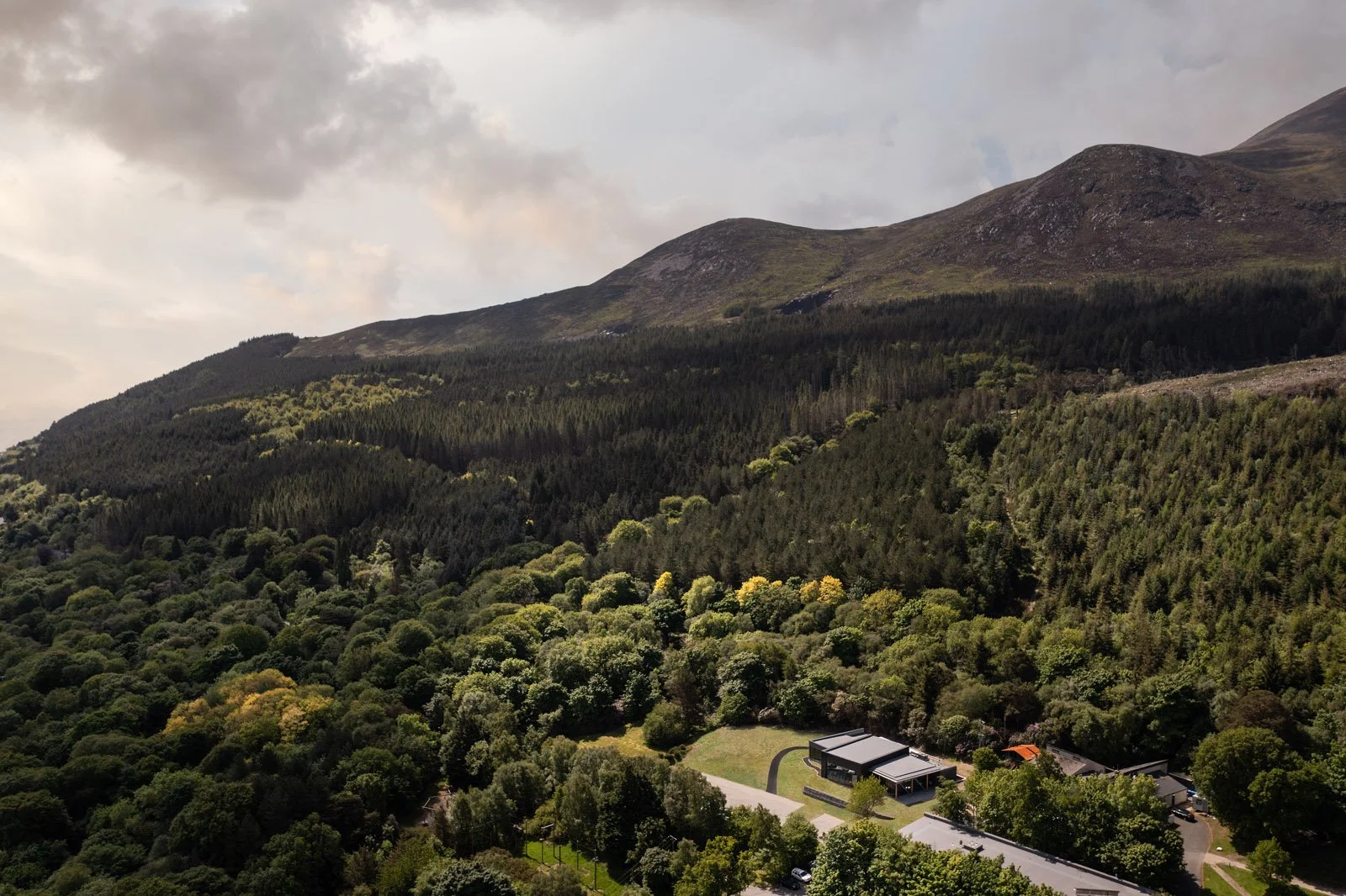 DJI_0587-new.jpg
