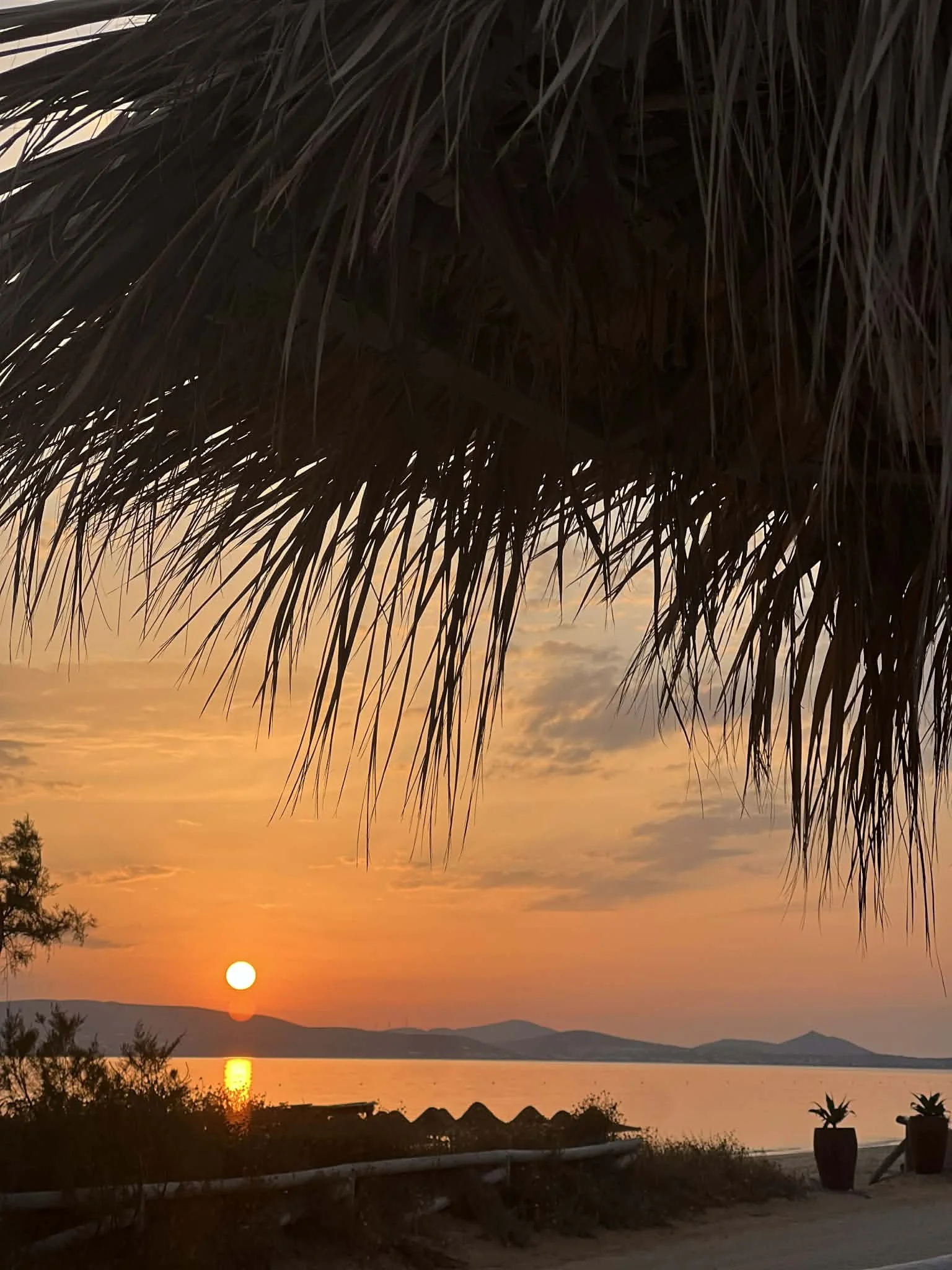 Sunset over a body of water, seen from a beach with a thatched roof in the foreground, and potted plants on the beach.