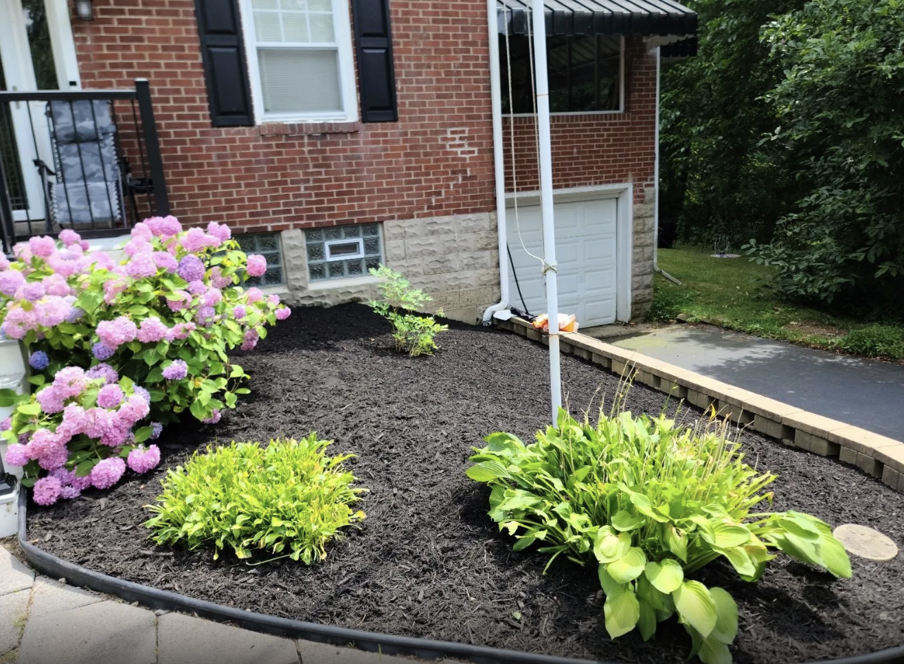 A freshly landscaped garden bed with dark mulch, pink and purple hydrangeas, and green hostas in front of a brick house with a black-shuttered window, small basement window, and attached garage. A black drip edge borders the garden bed, and a pipe wi