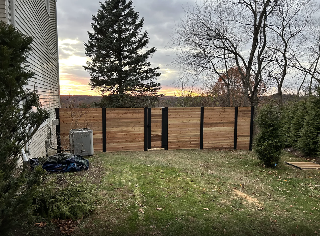 A backyard scene at sunset with a wooden privacy fence, a tall tree, and some bushes along the fence line. The sky is partly cloudy with the sun setting in the distance.