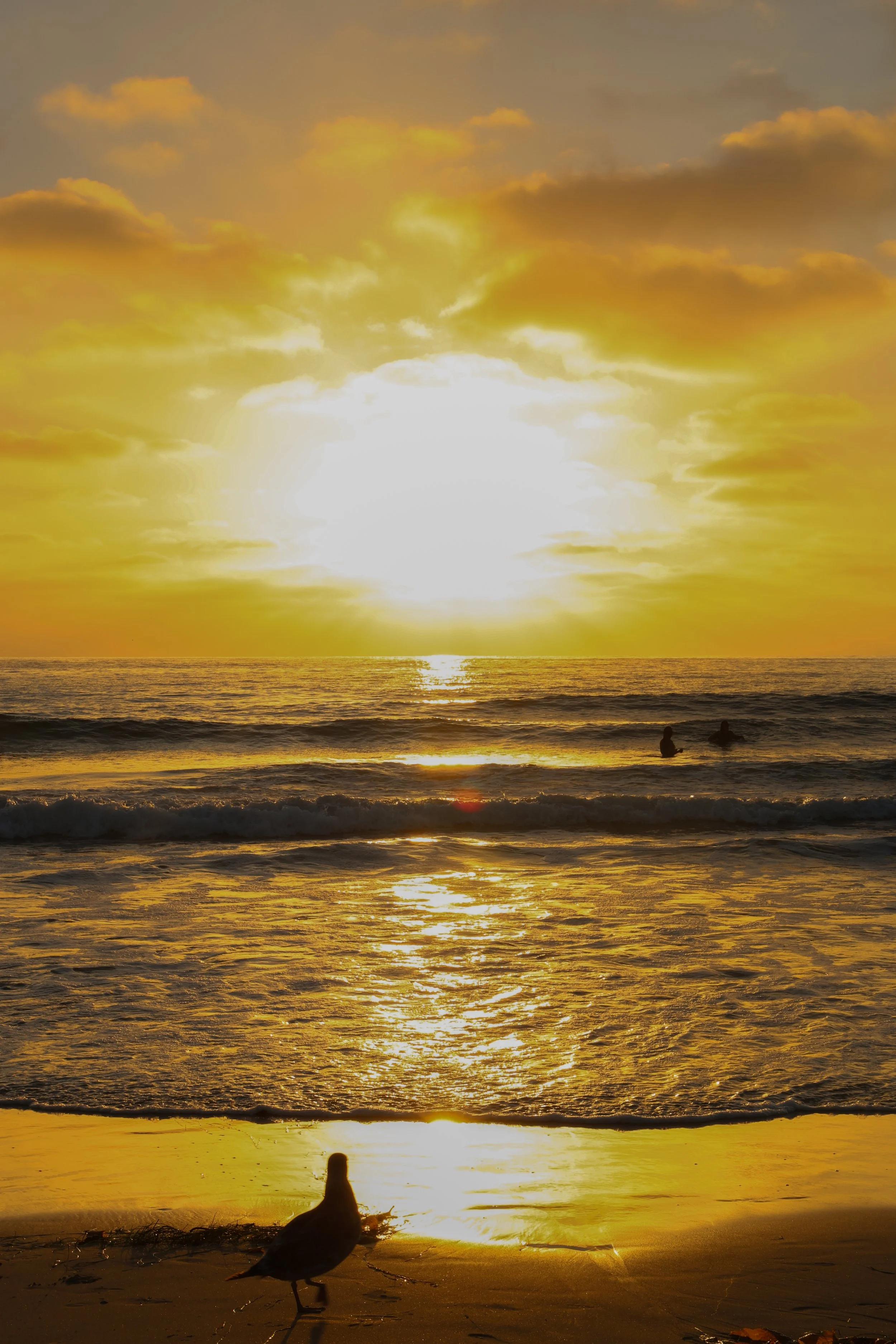 sandiego-30-2.jpg