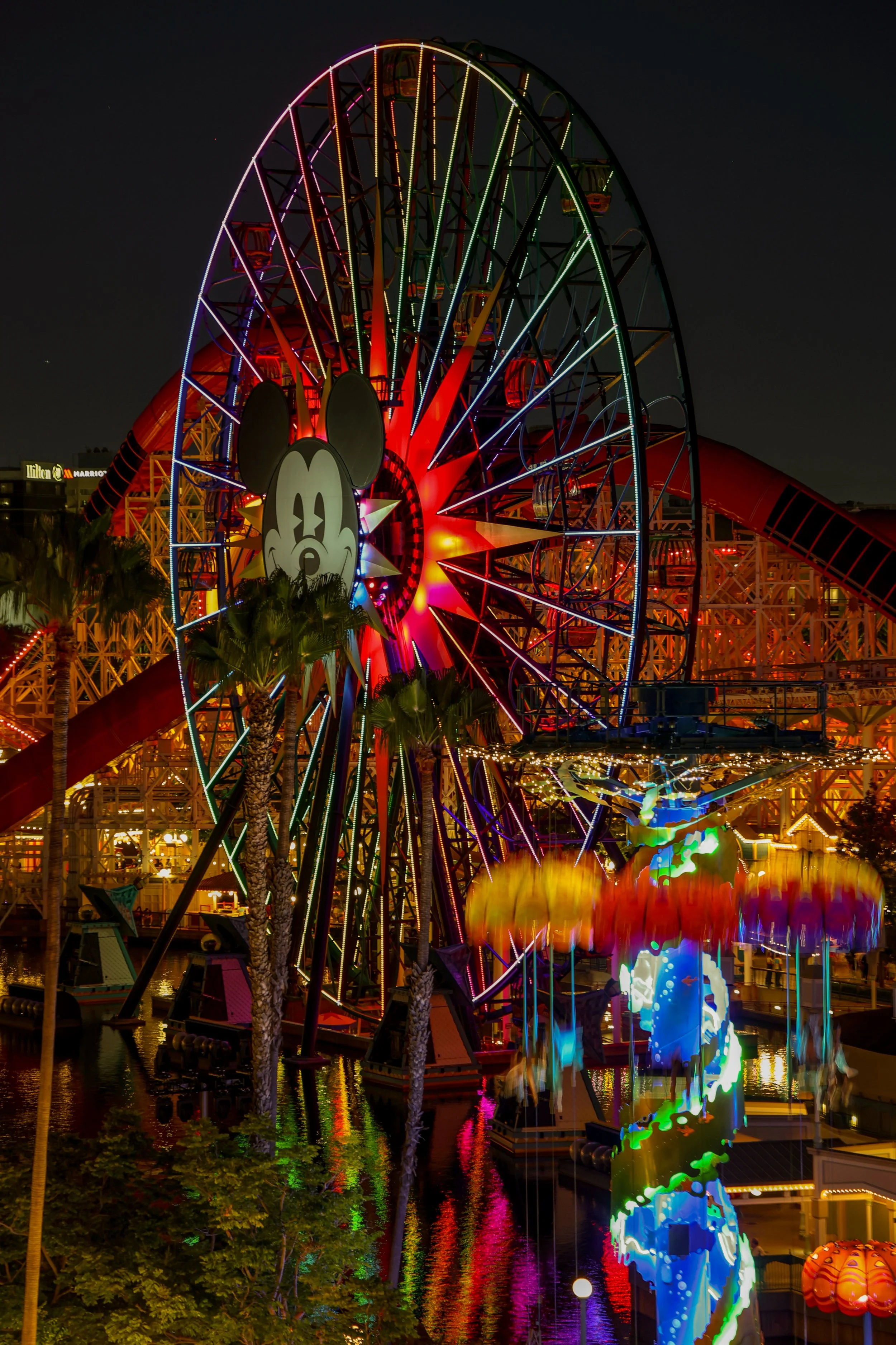 sandiego-30.jpg