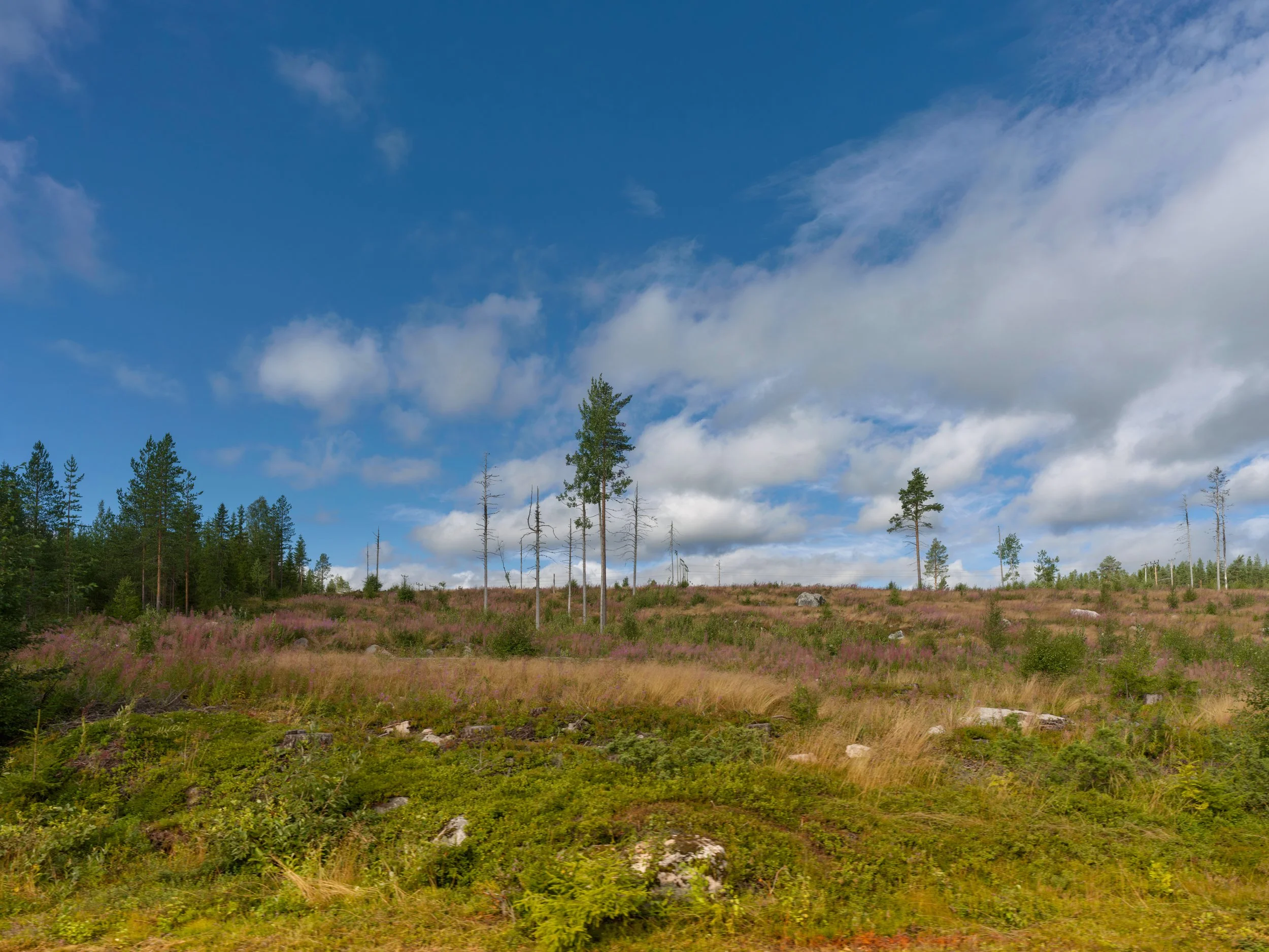 ( Schweden )