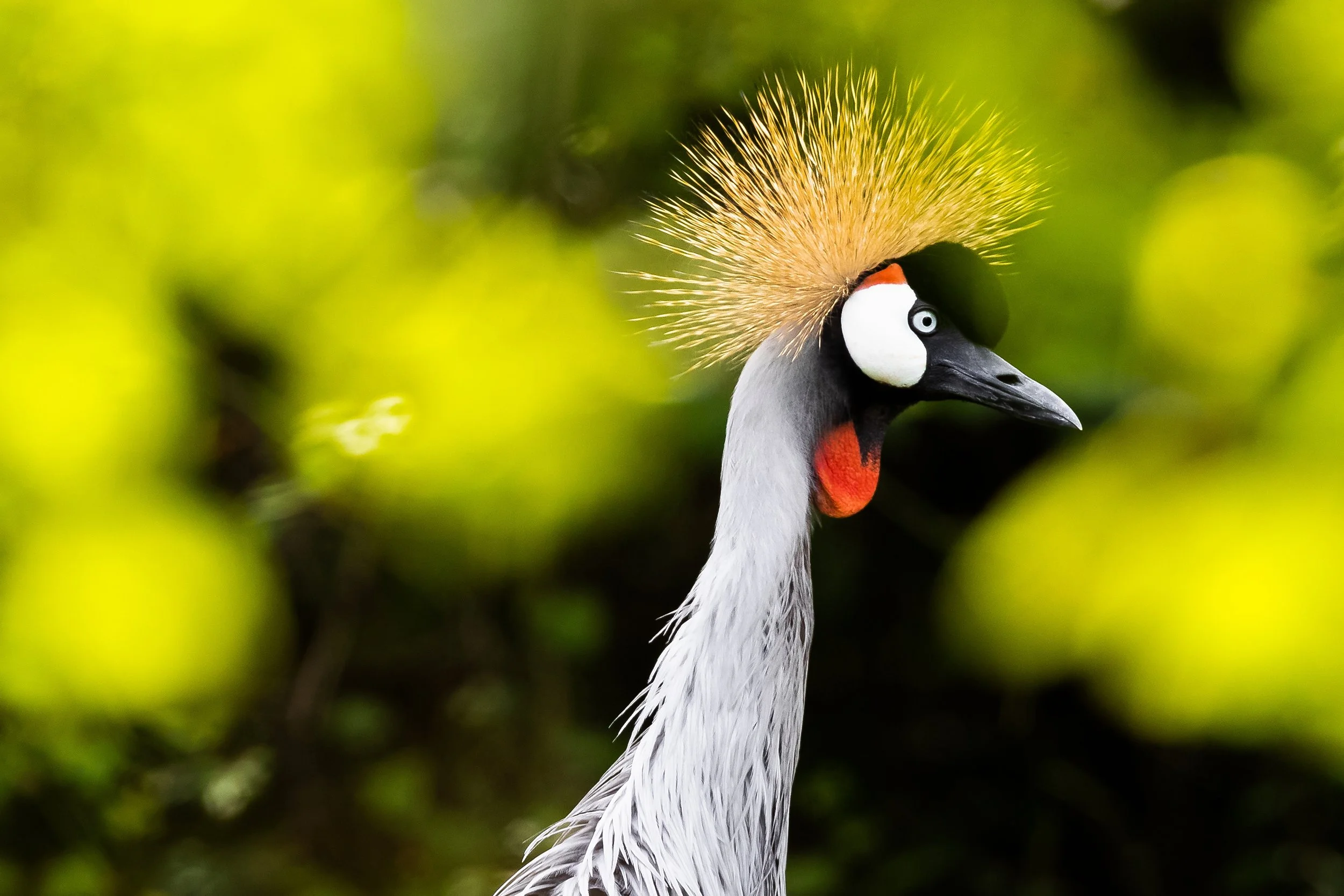 ( Zoo / Deutschland )