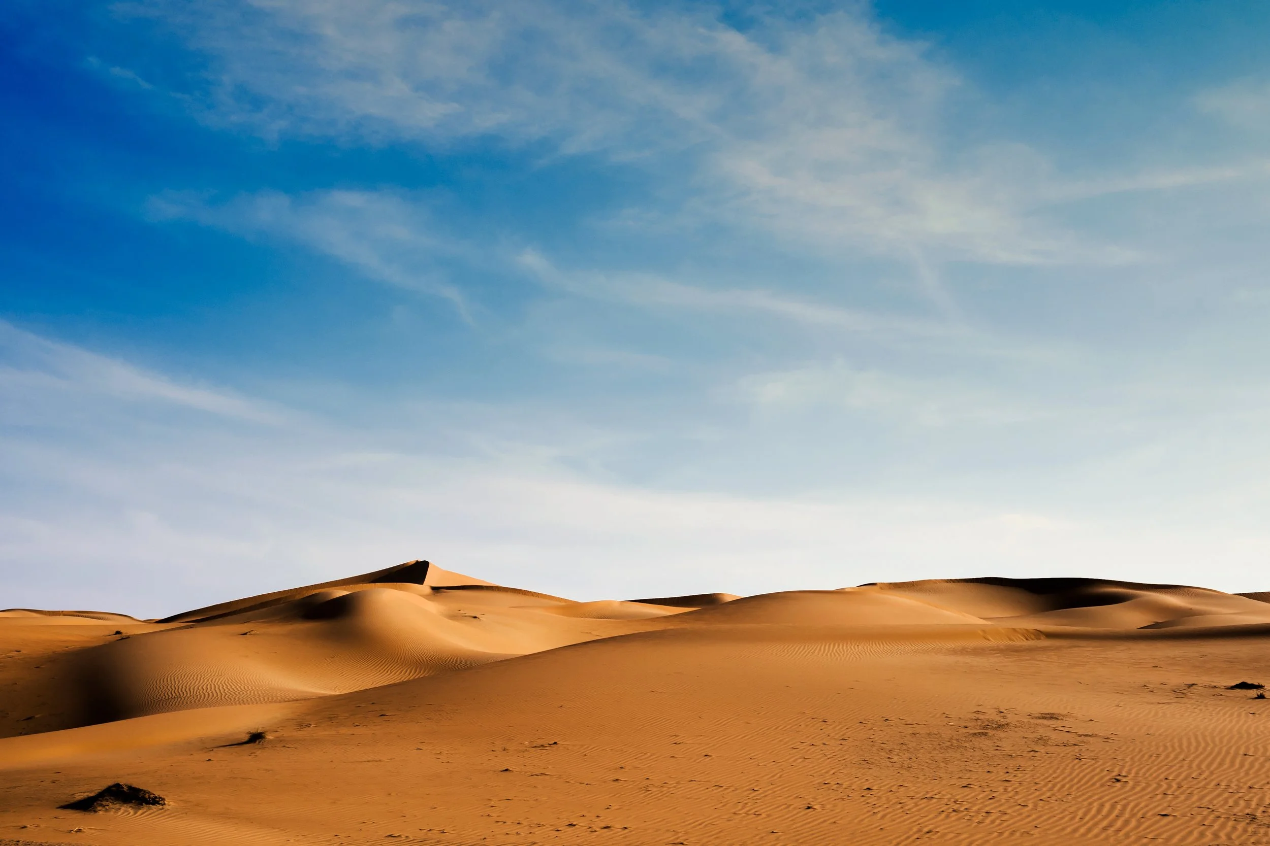 Abu Dhabi Desert