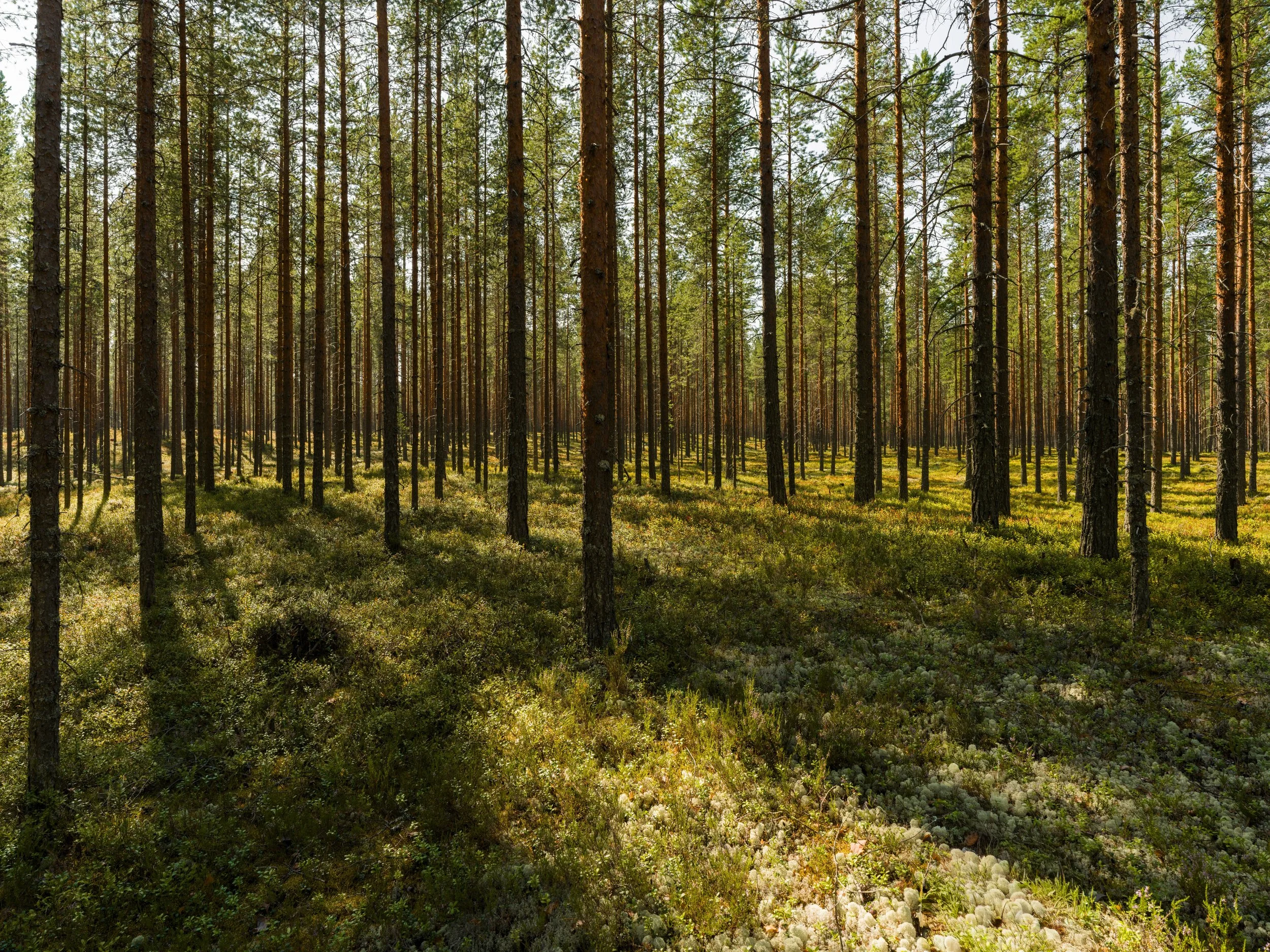 Finnland