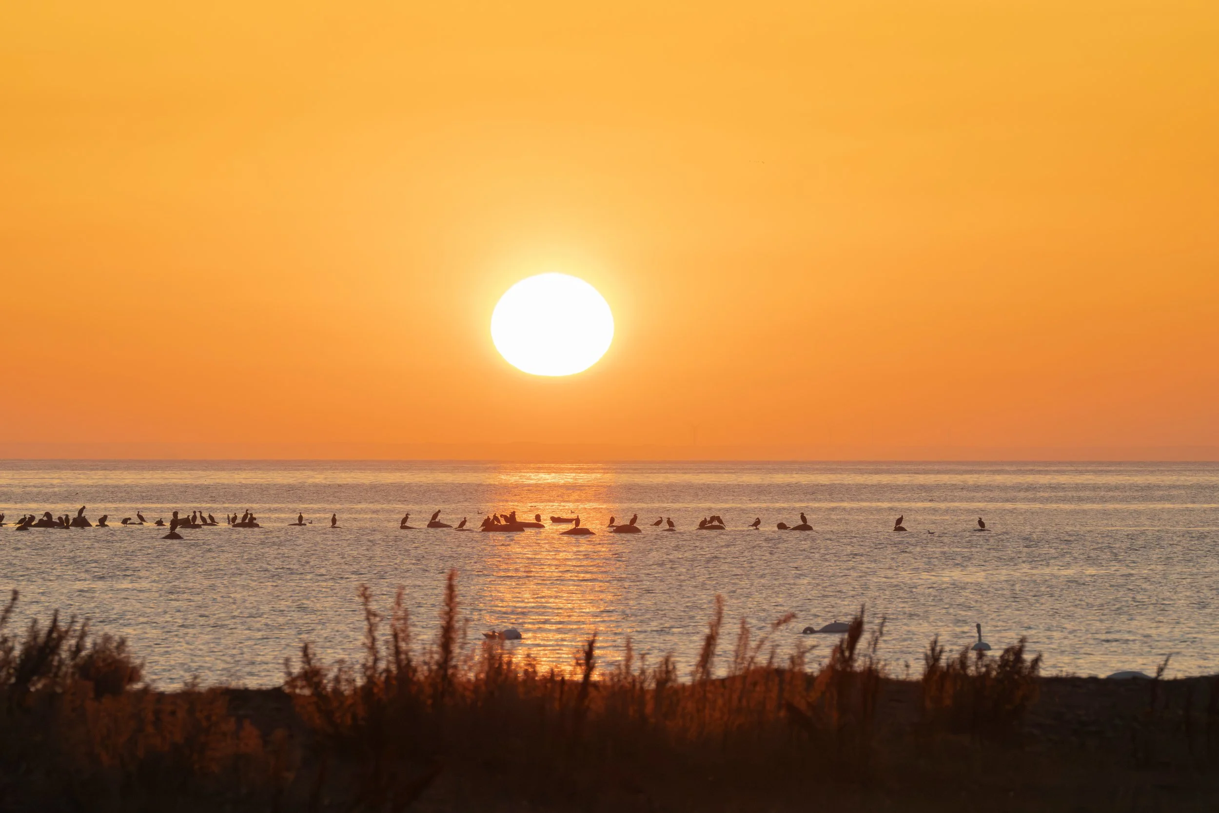 Schweden