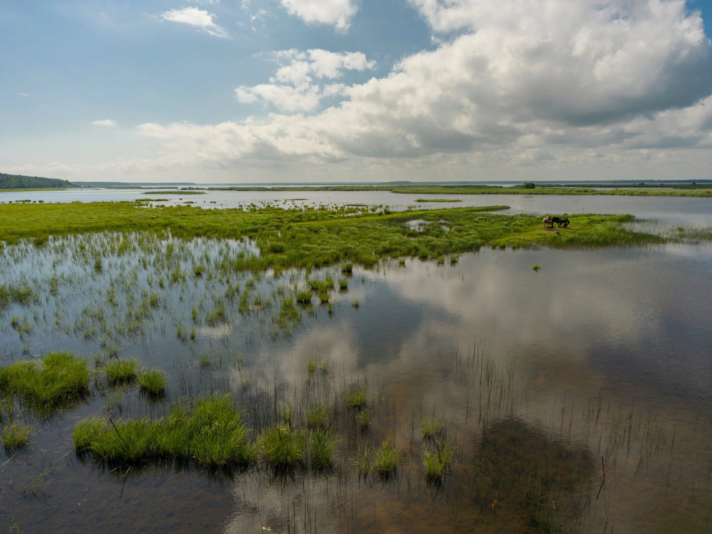 Lettland