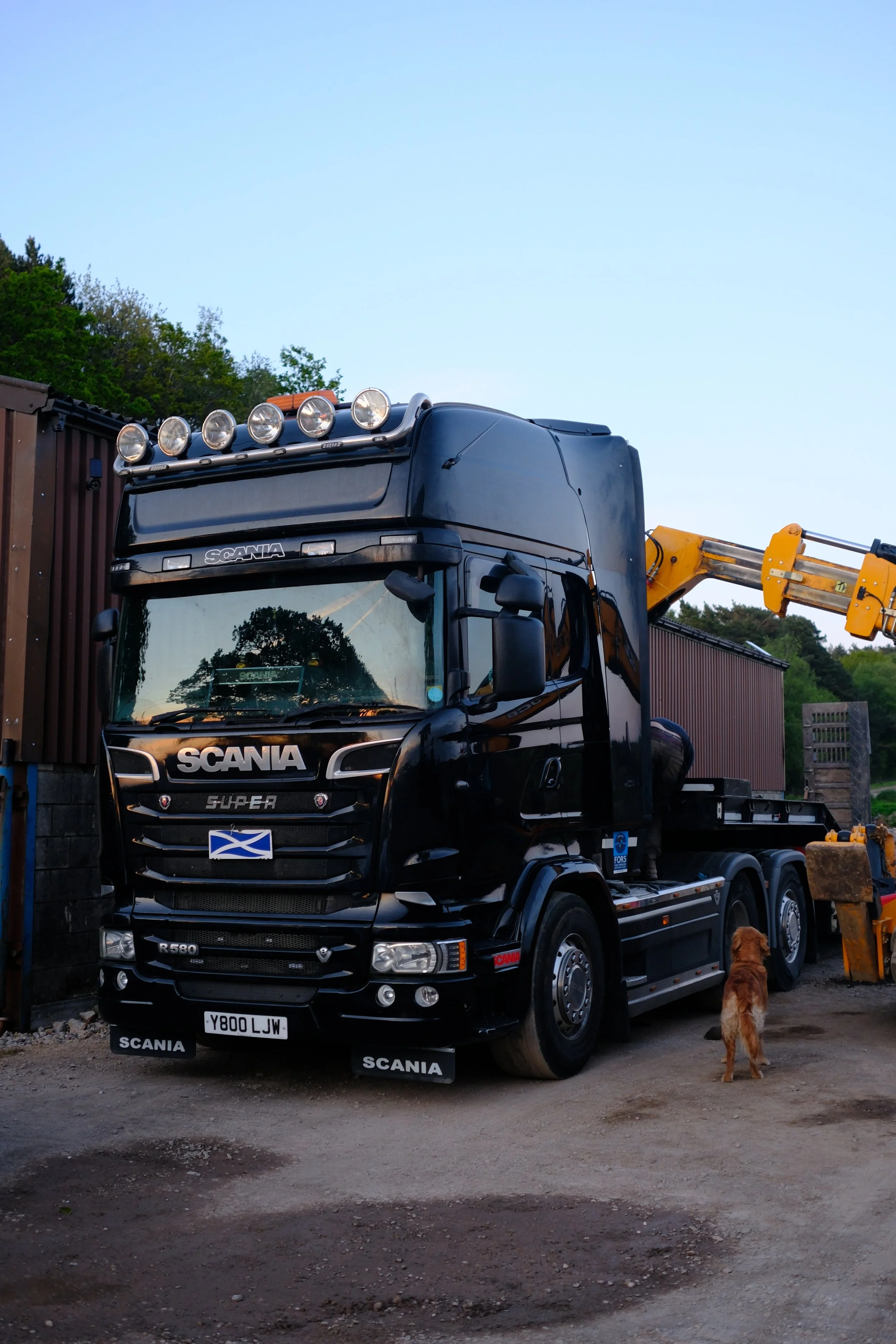 A black Scania flatbed truck with a crane attached, parked outdoors on a dirt surface. A brown dog is standing near the truck, looking away. The background includes a wooden fence, trees, and a clear sky.