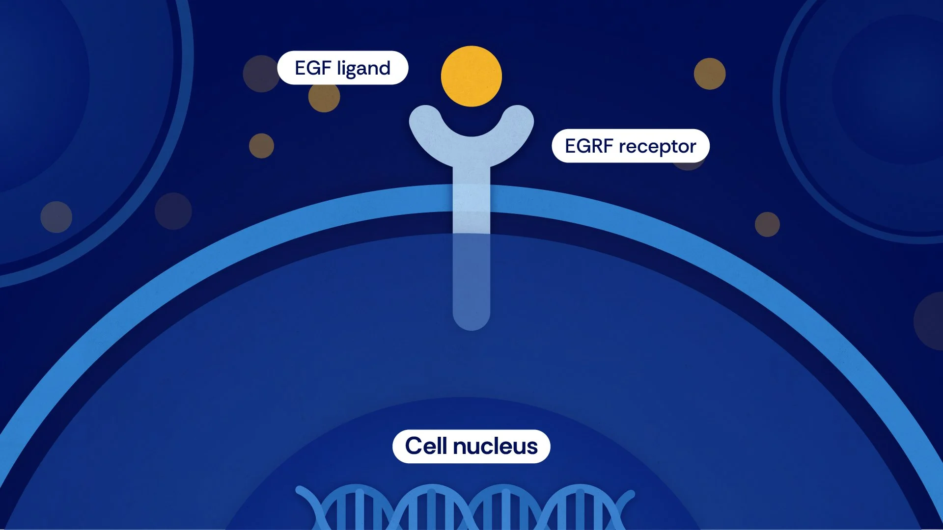 1227528_MOA Style 2_V1.jpg