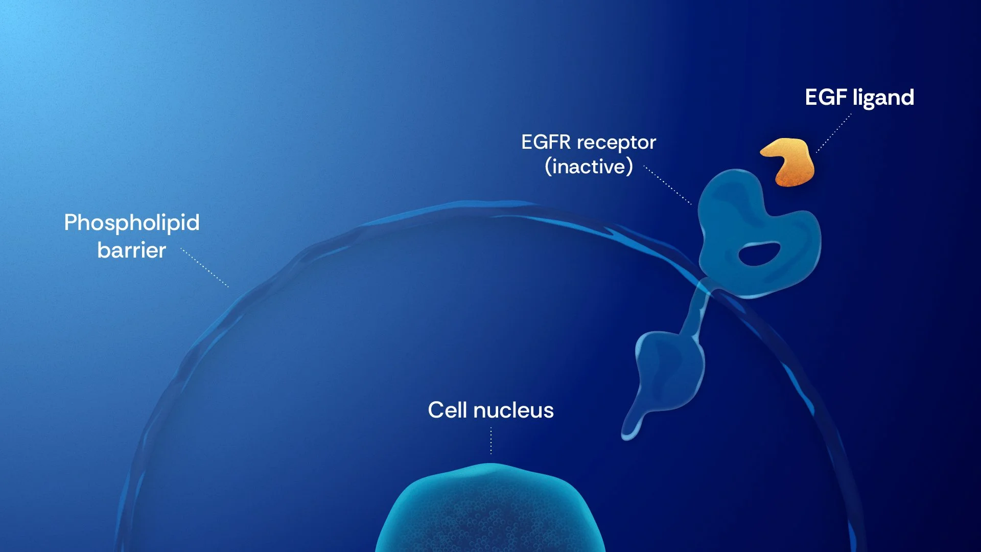 1227528_MOA Style 3 Simplified_V2.jpg