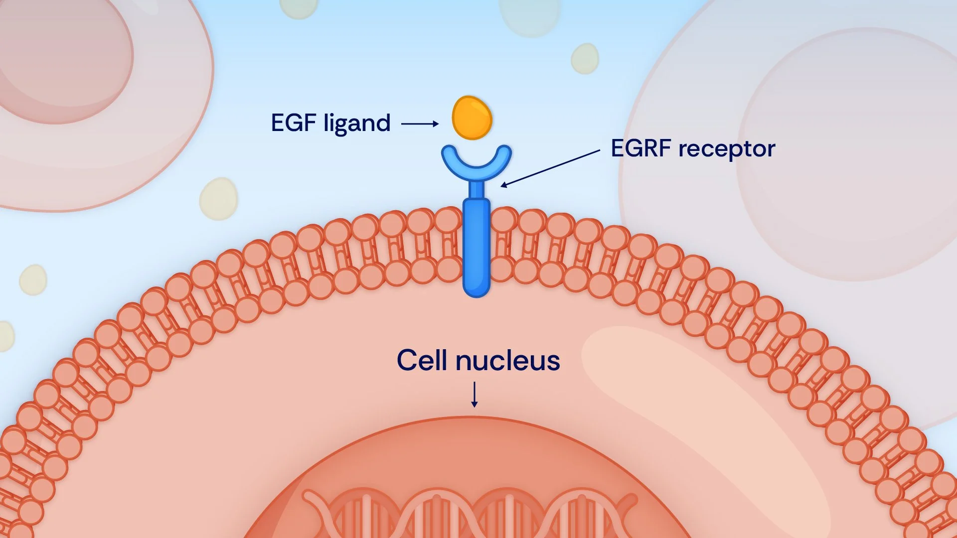 1227528_MOA Style 1_V1.jpg