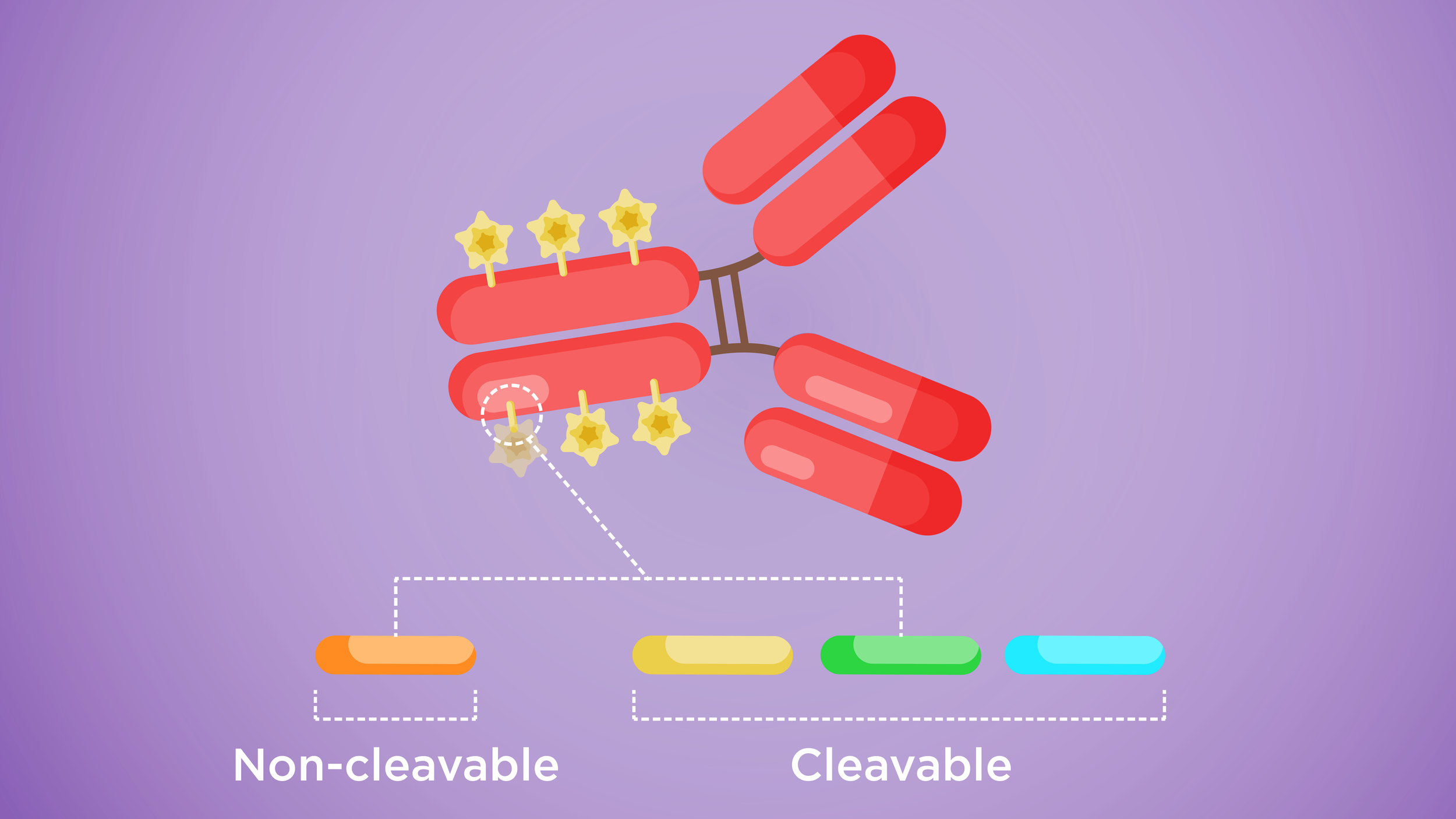 23520957 MoA Illustration Frame 11a_v2.png