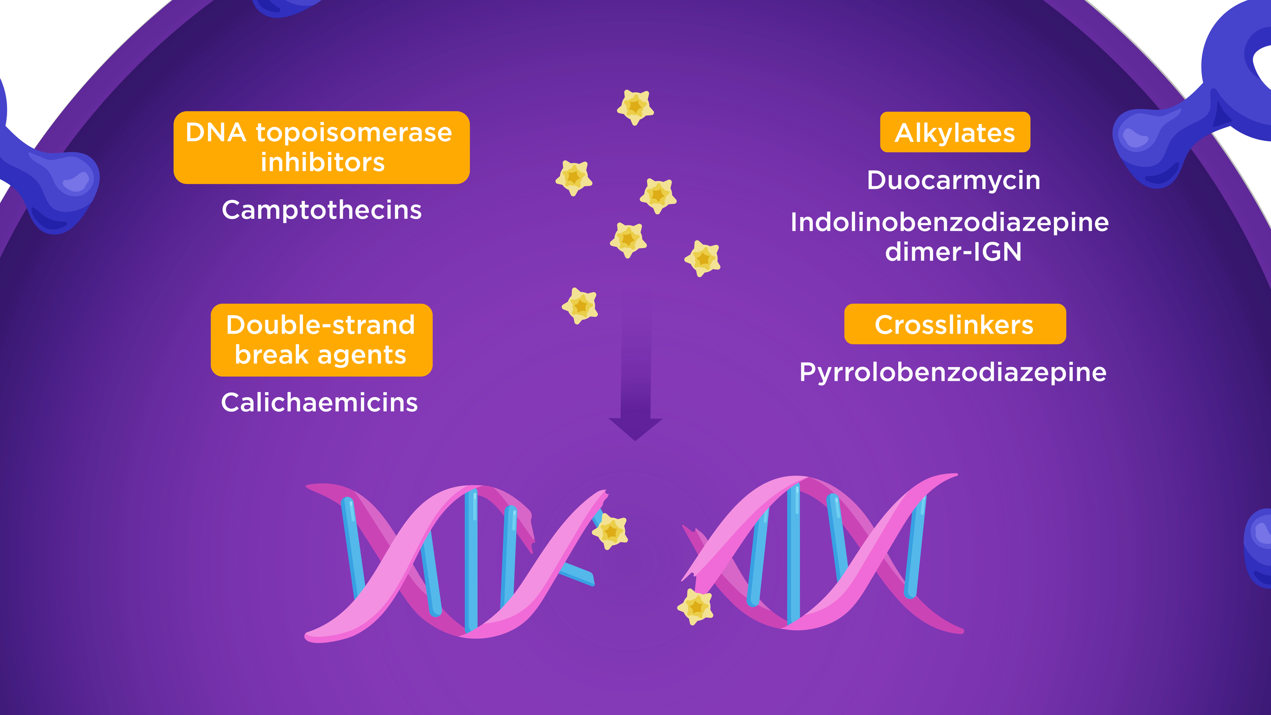 23520957 MoA Illustration Frame 15a_v2.png