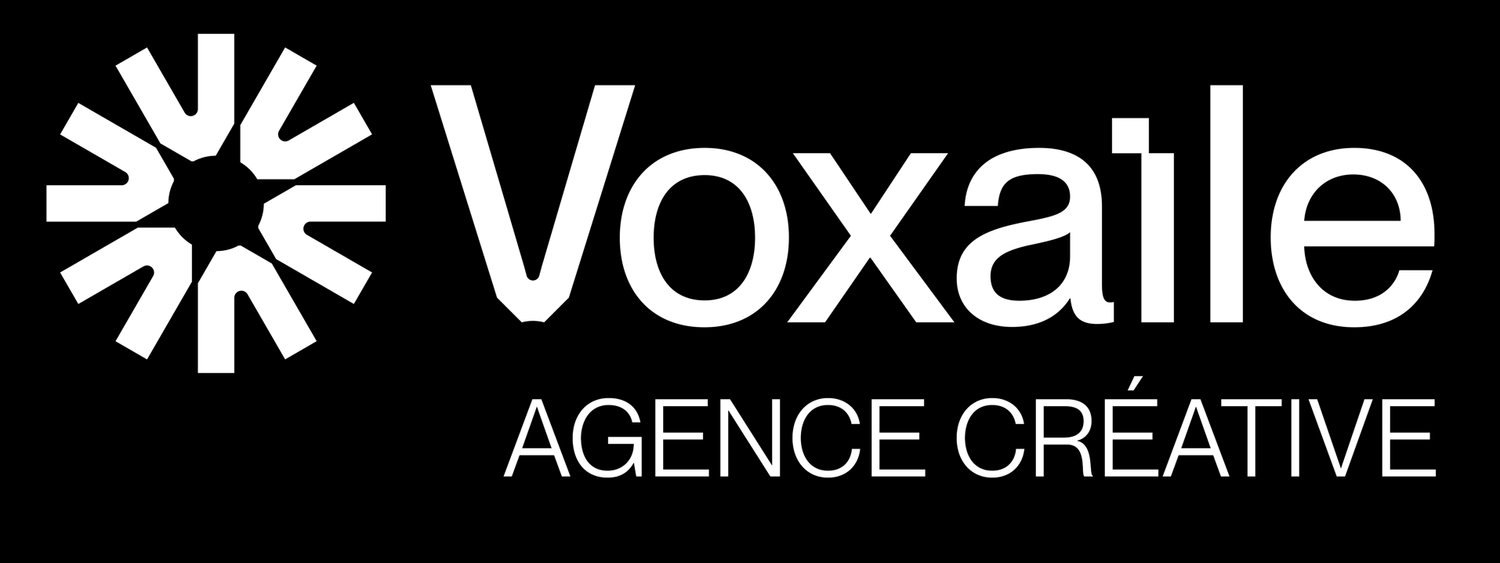  VOXAILE