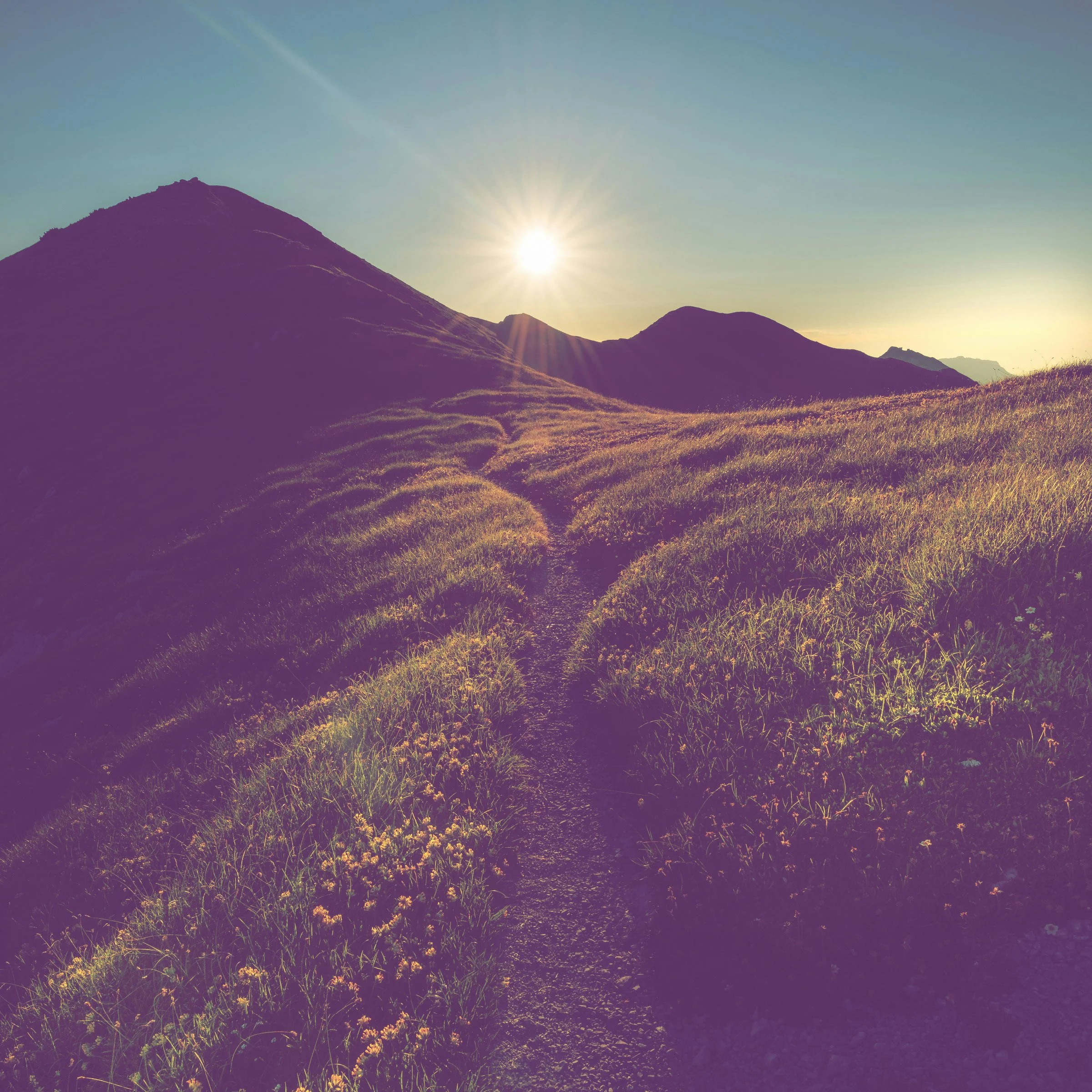Sunset over a grassy hilly landscape with the sun low on the horizon and mountains in the background.
