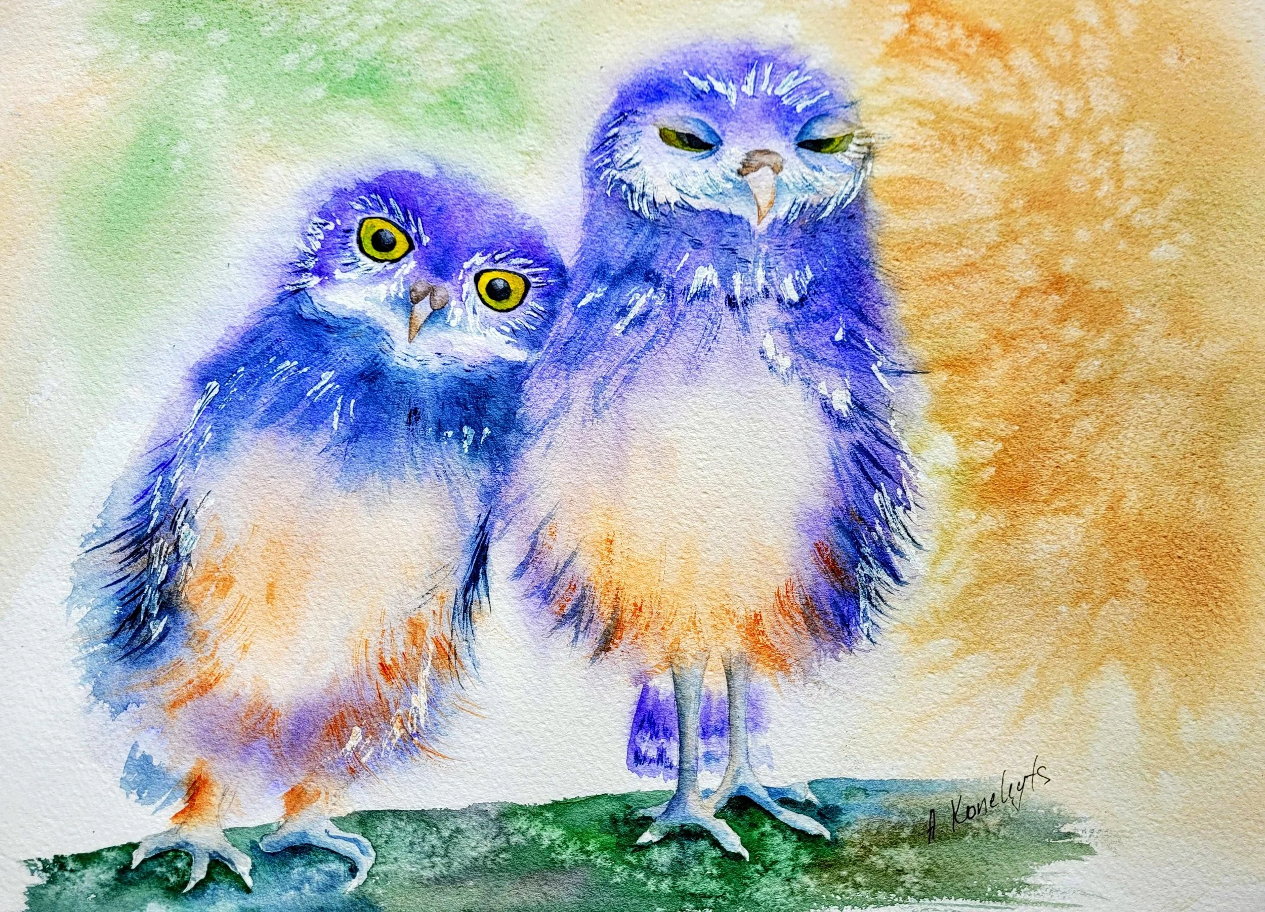 Watercolor painting of two owls with blue and orange feathers, standing on green grass, with a multicolored background.